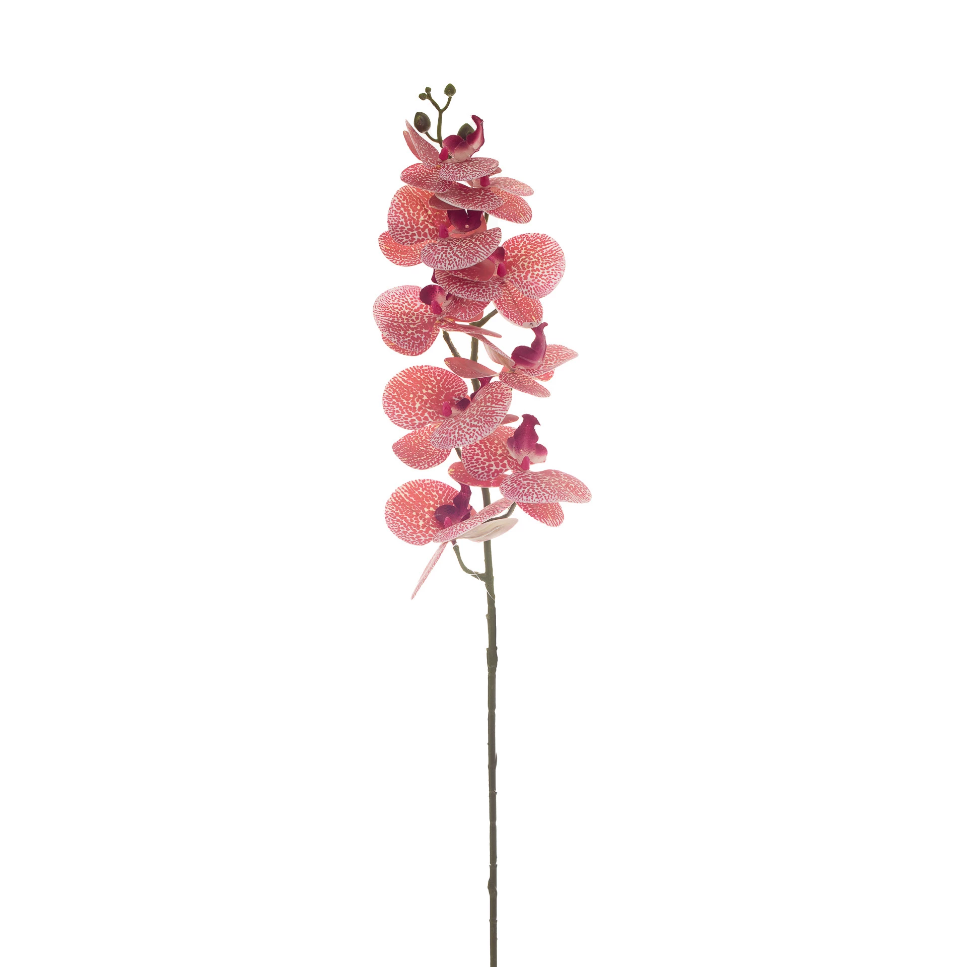 Orquídea Artificial Toque Real x9 Cabeças 90 Cm - Vinho