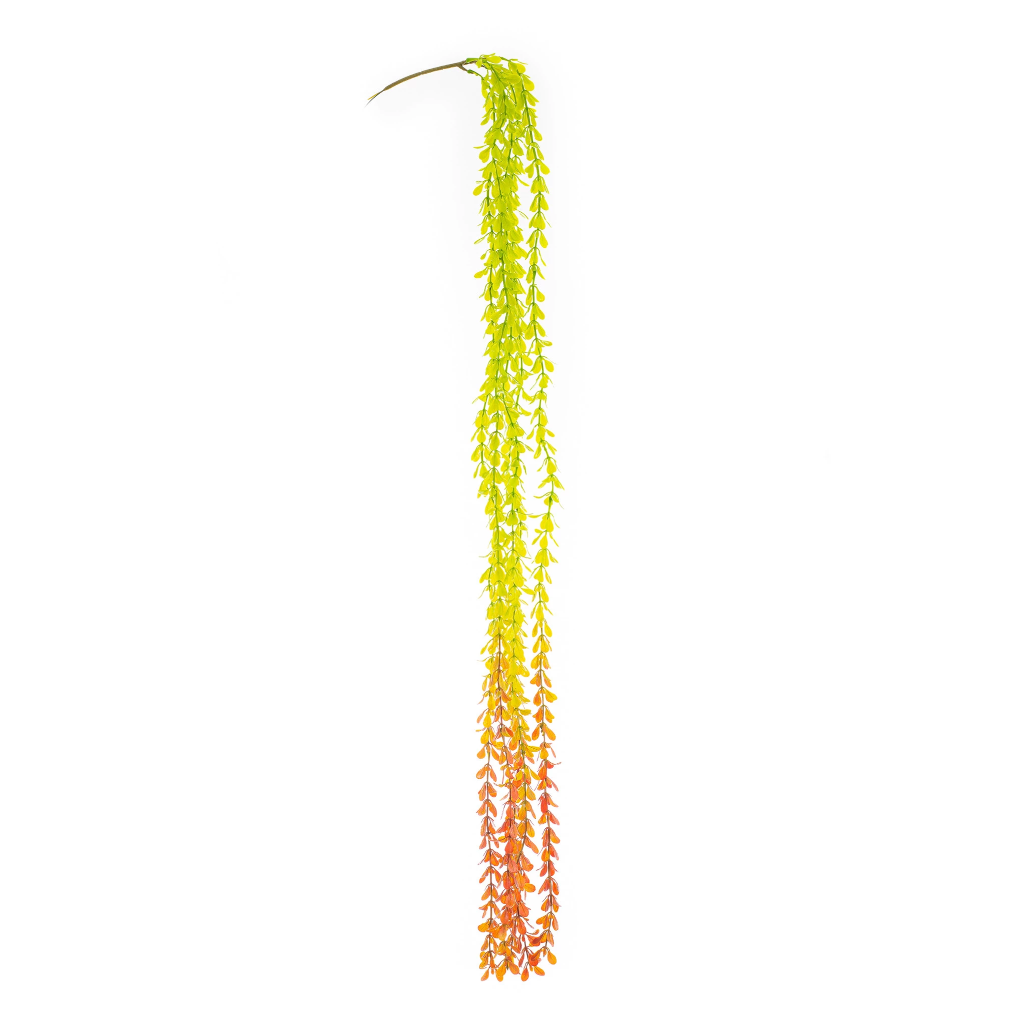 Pendente Dinheirinho x5 Com 77 Cm