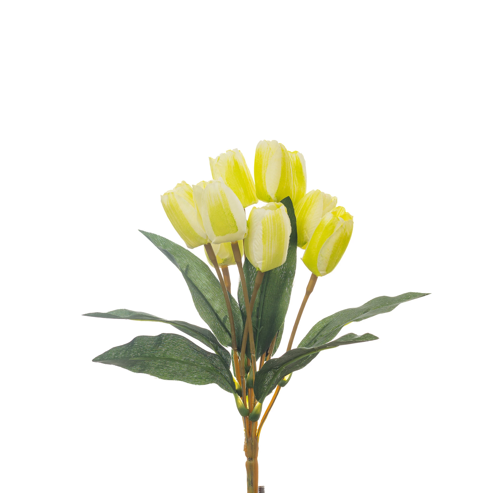Buque Tulipa x9 Com 30 Cm - Branca
