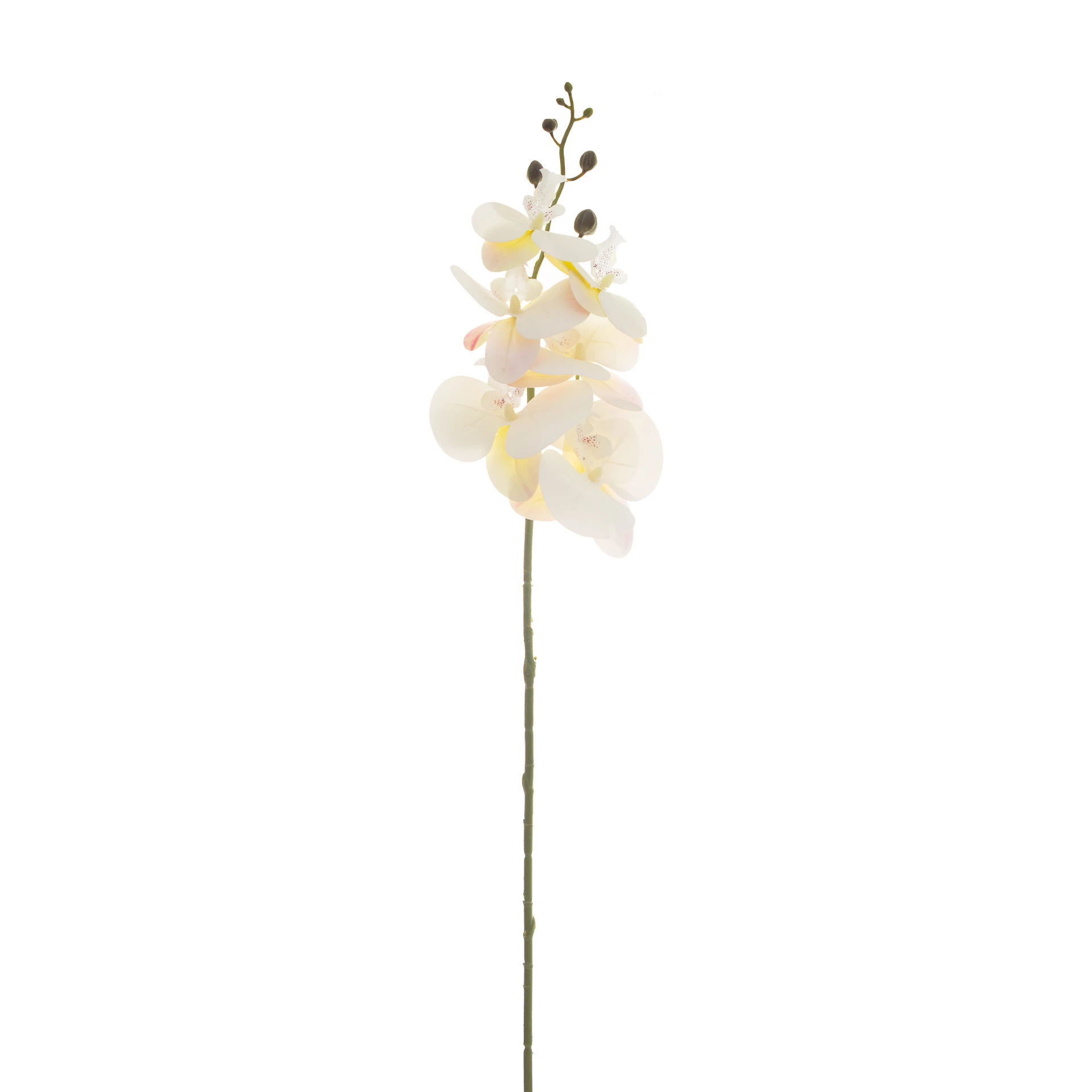 Orquídea Artificial Toque Real x9 Cabeças 90 Cm - Branca