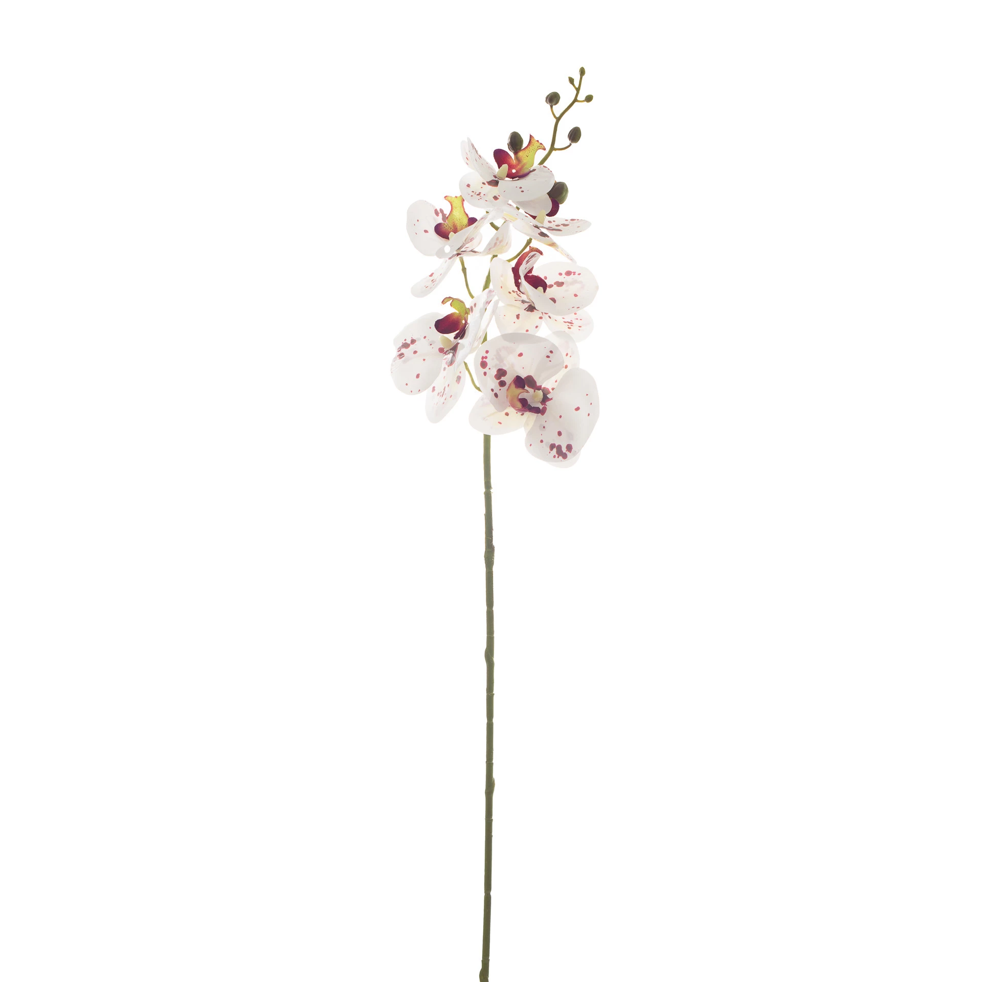 Orquídea Artificial Toque Real x9 Cabeças 90 Cm - Branca/Pink