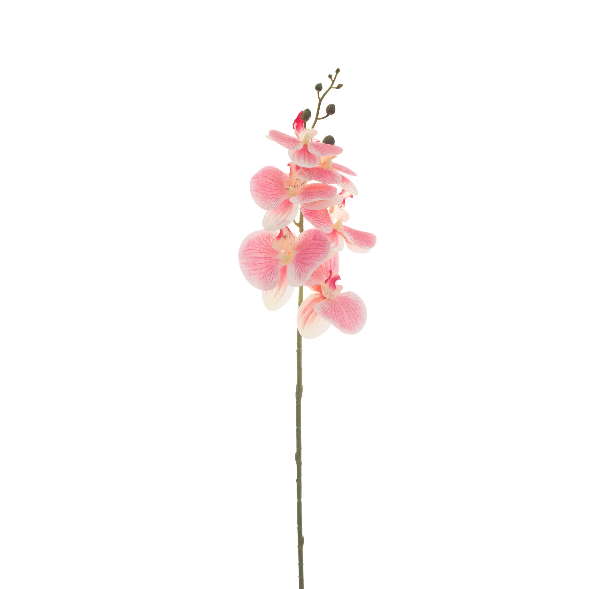 Orquídea Artificial Toque Real x6 Cabeças 86 Cm - Pink