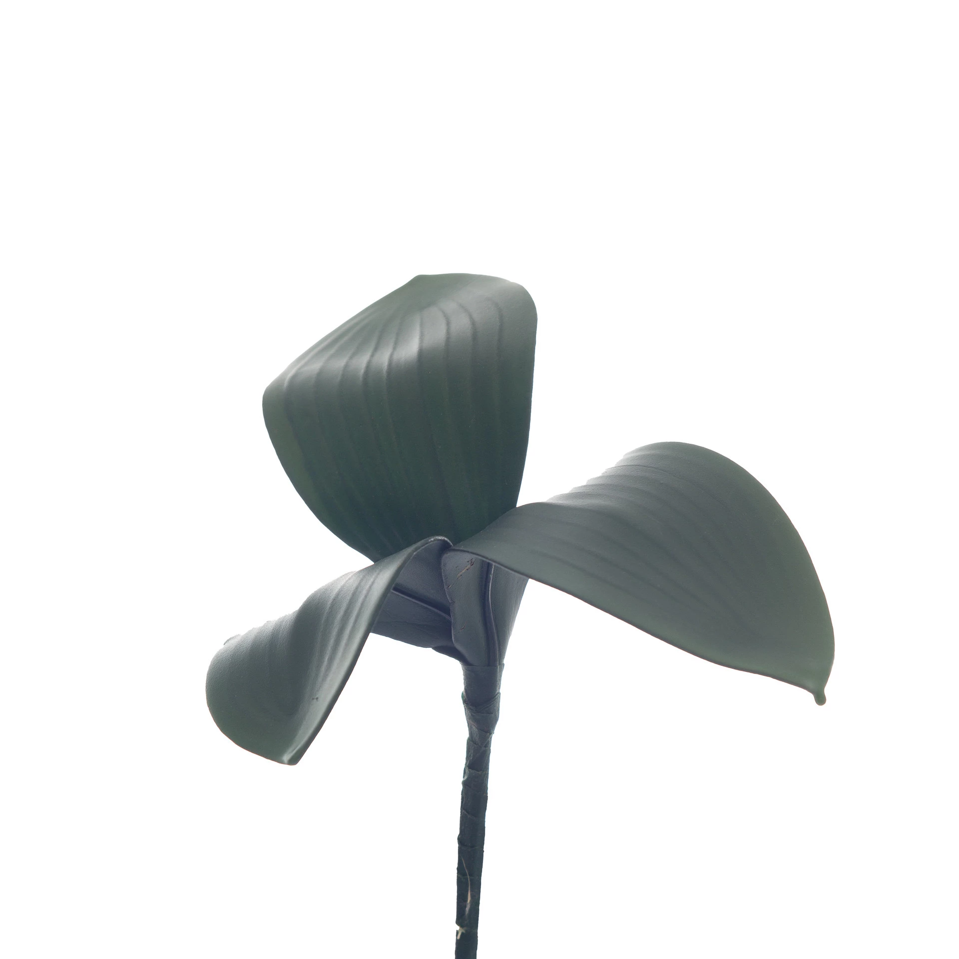 Folha de Orquídea Com 3 24x7 Cm