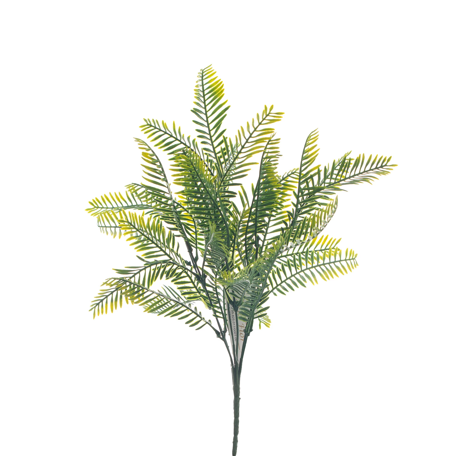 Buque Samambaia 34 Cm