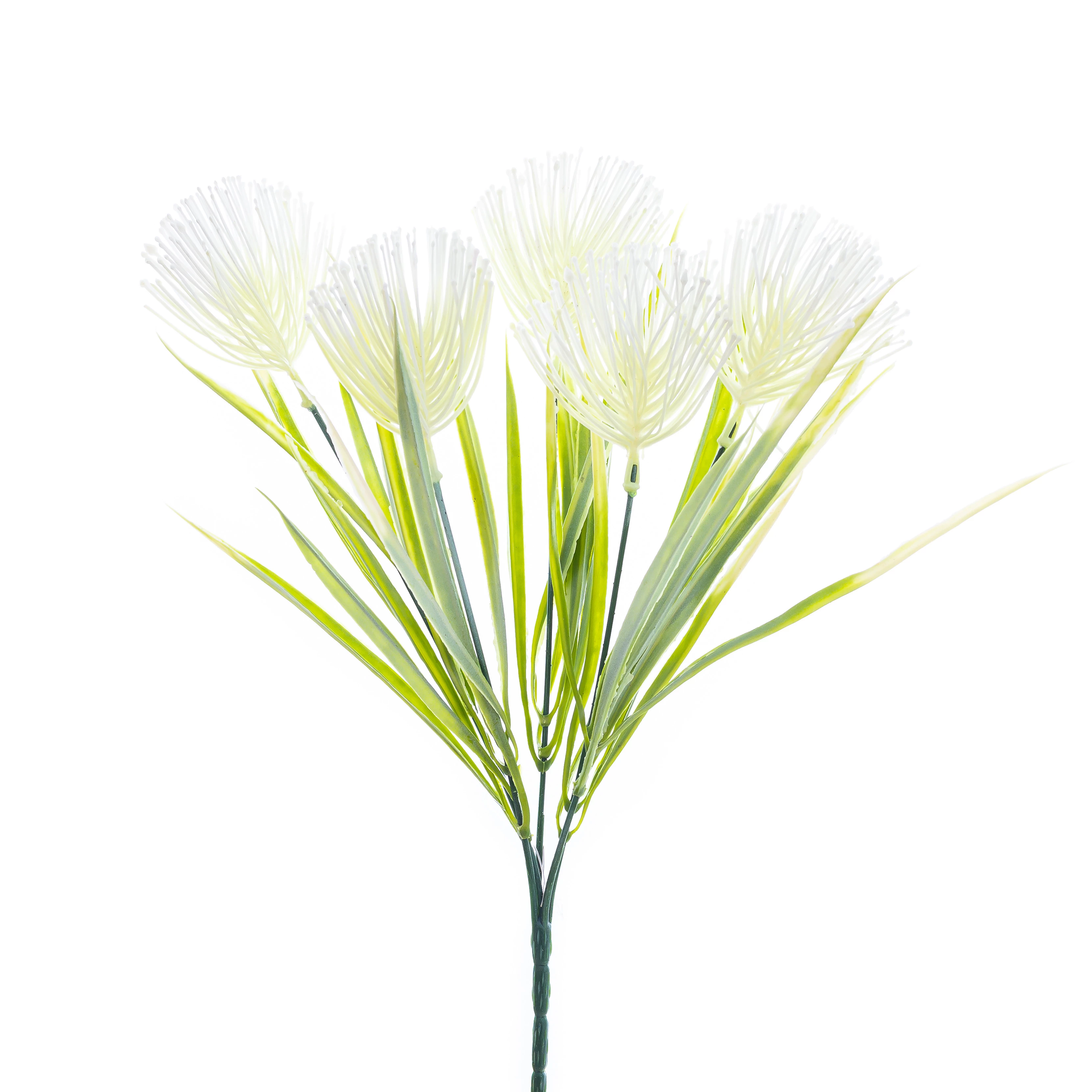 Buque Suculenta x5 com 34 Cm