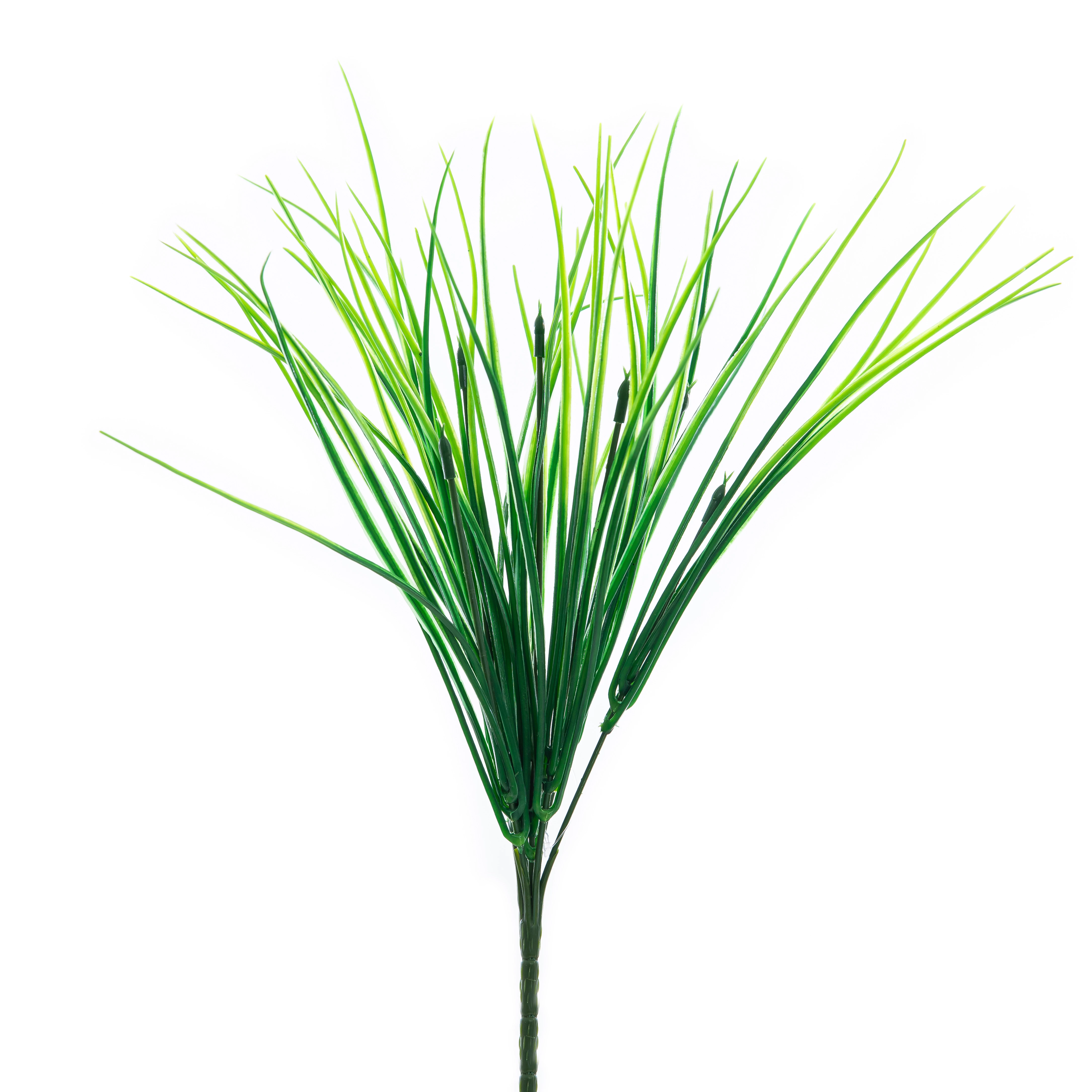 Buque Capim x7 34 Cm