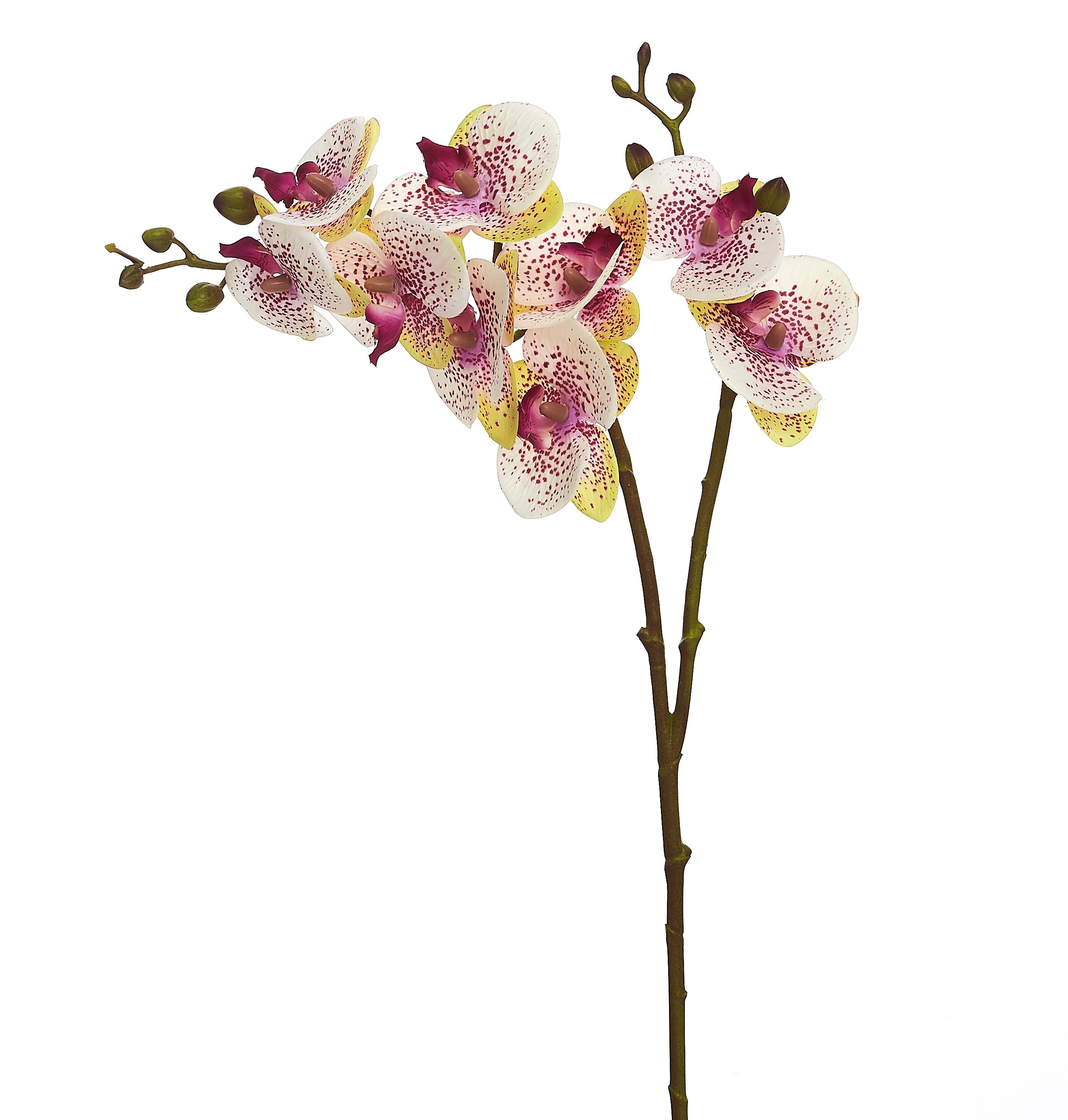 Orquídea Artificial Toque Real Com 2 Galhos x9 Cabeças 68 Cm - Rosa/Branca
