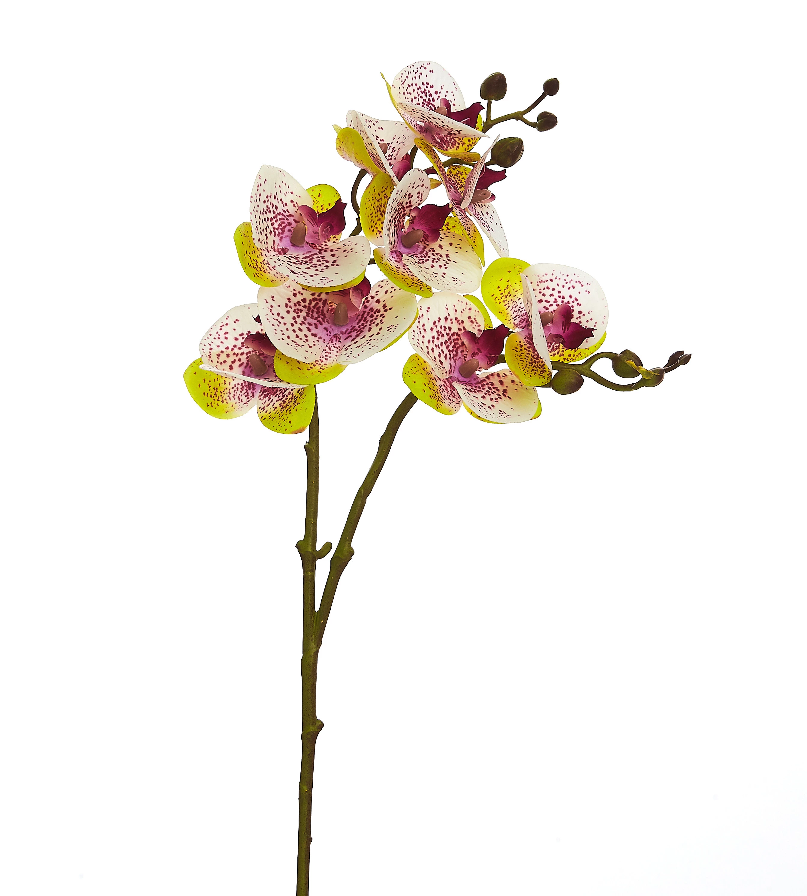 Orquídea Artificial Toque Real Com 2 Galhos x9 Cabeças 68 Cm - Roxa/Branca