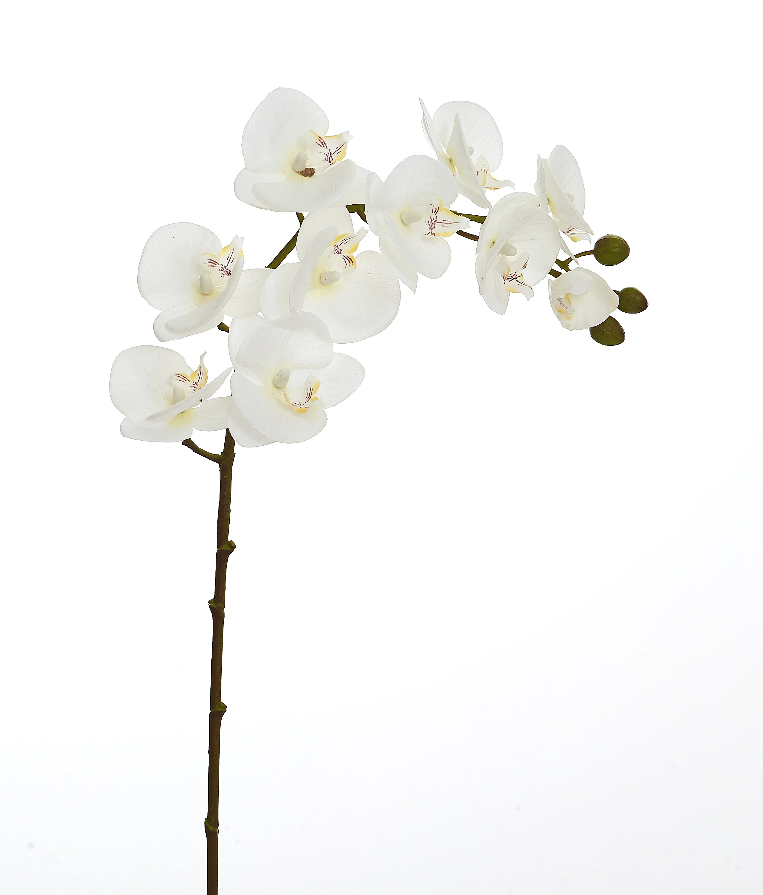 Orquídea Artificial Toque Real x10 Cabeças 77 Cm - Branca