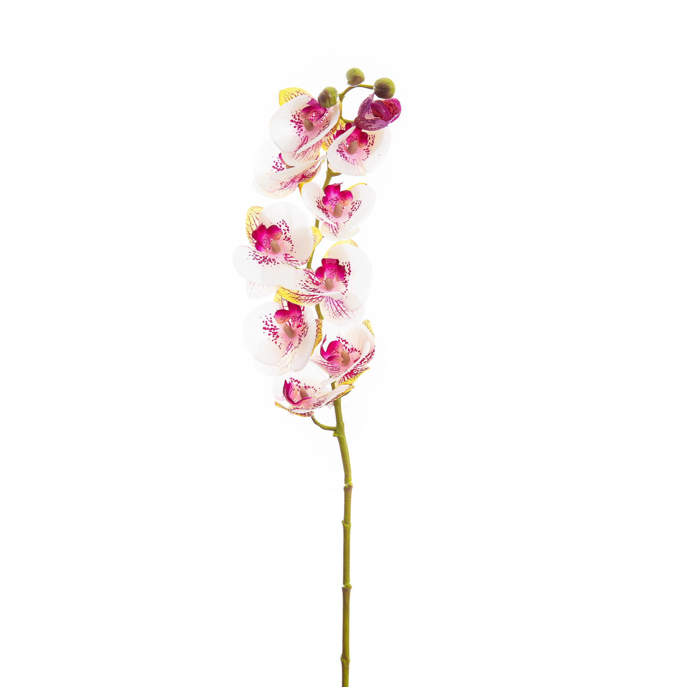 Orquídea Artificial Toque Real x10 Cabeças 77 Cm - Rosa/Branca