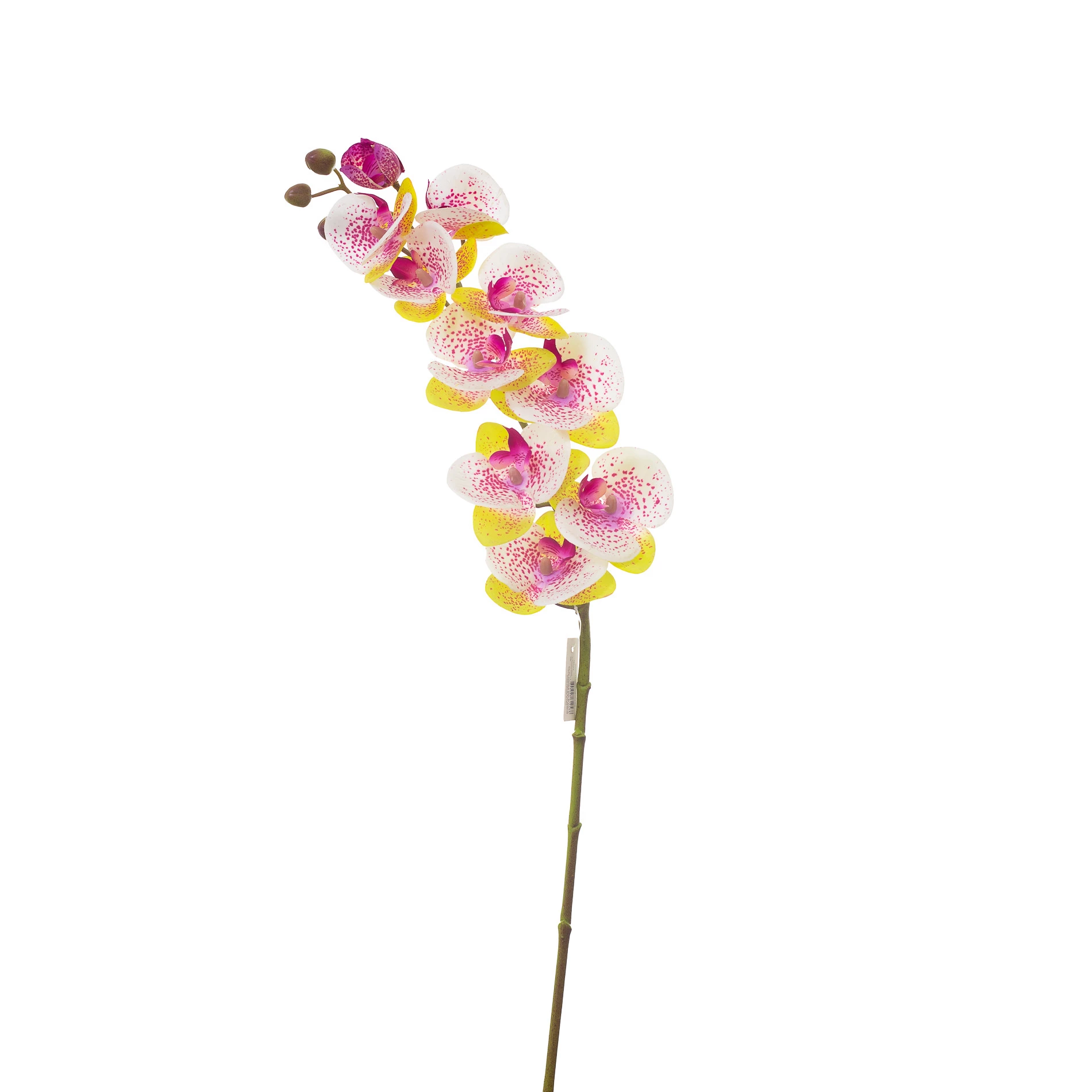 Orquídea Artificial Toque Real x10 Cabeças 77 Cm - Roxo/Verde