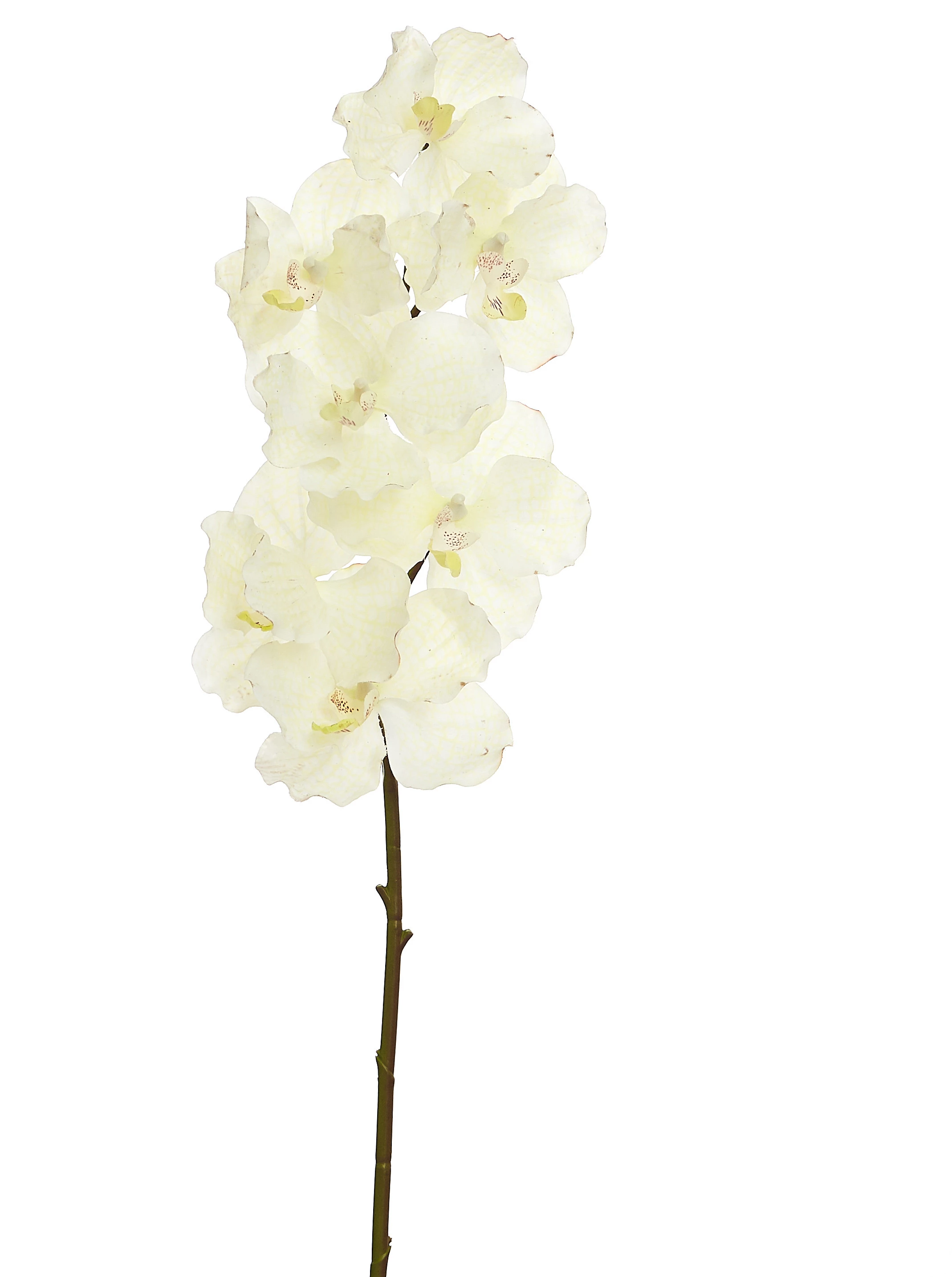 Orquídea Artificial Toque Real x7 Cabeças 100 Cm - Branca