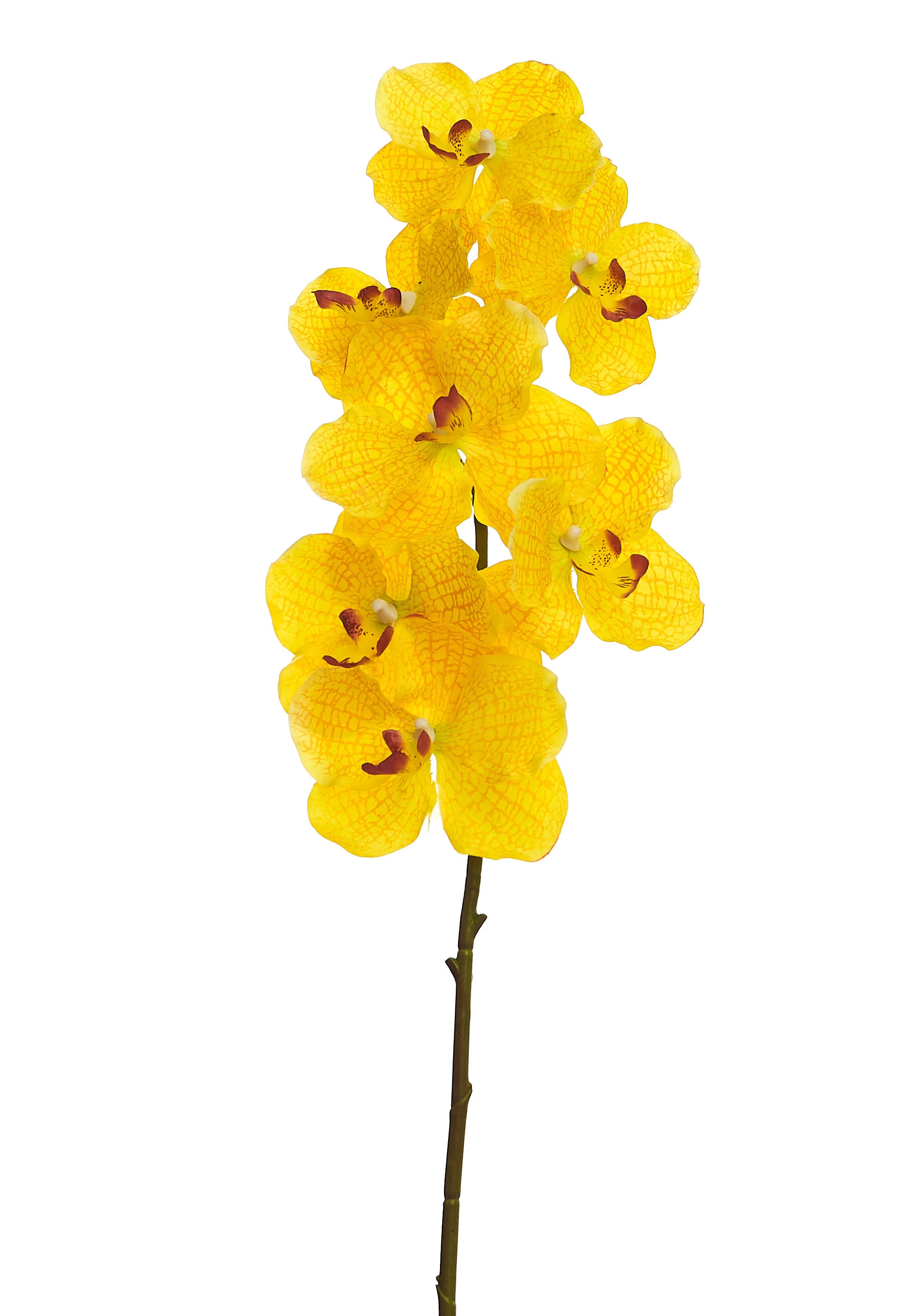 Orquídea Artificial x7 Cabeças 100 Cm - Amarela