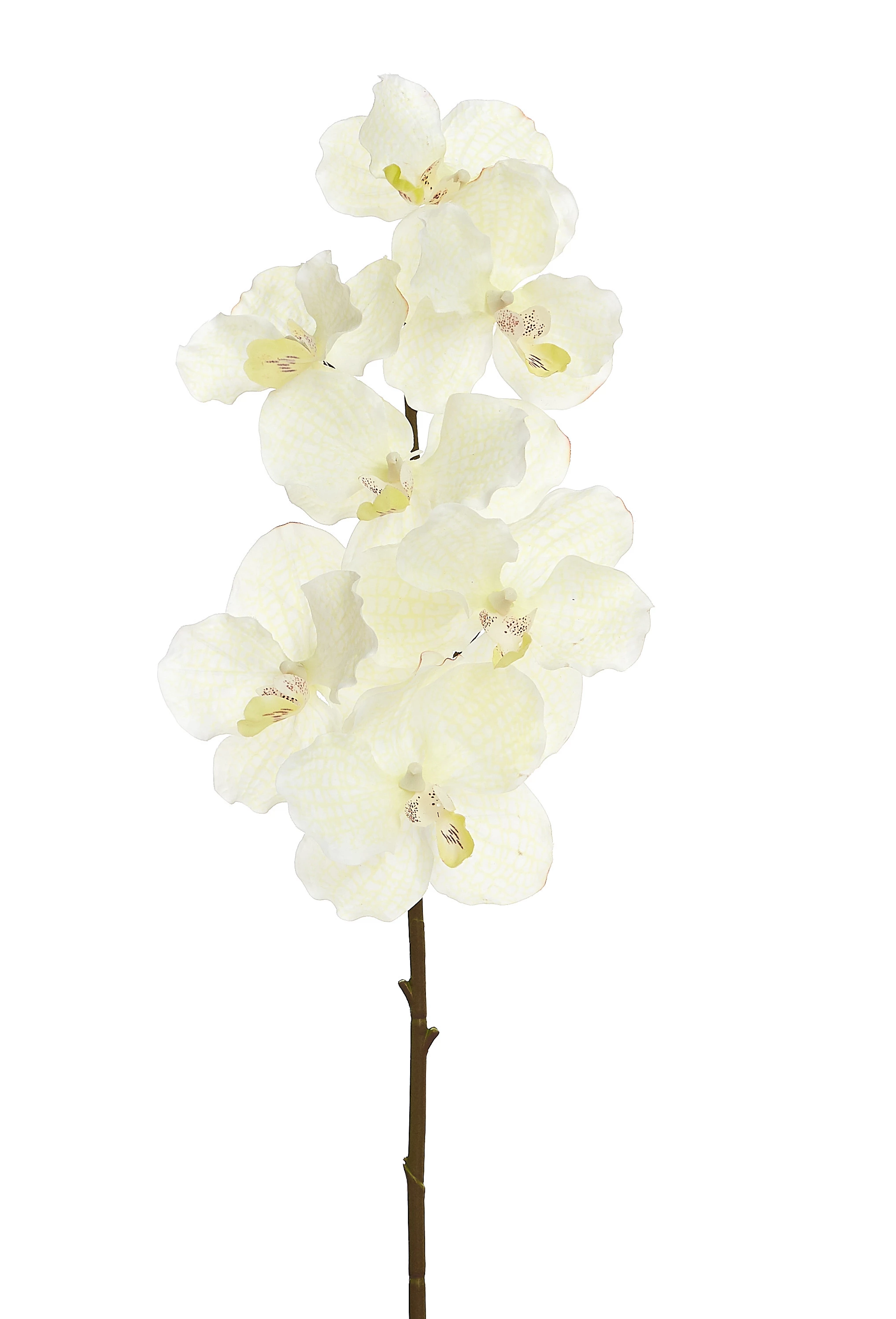 Orquídea Artificial x7 Cabeças 100 Cm - Branca
