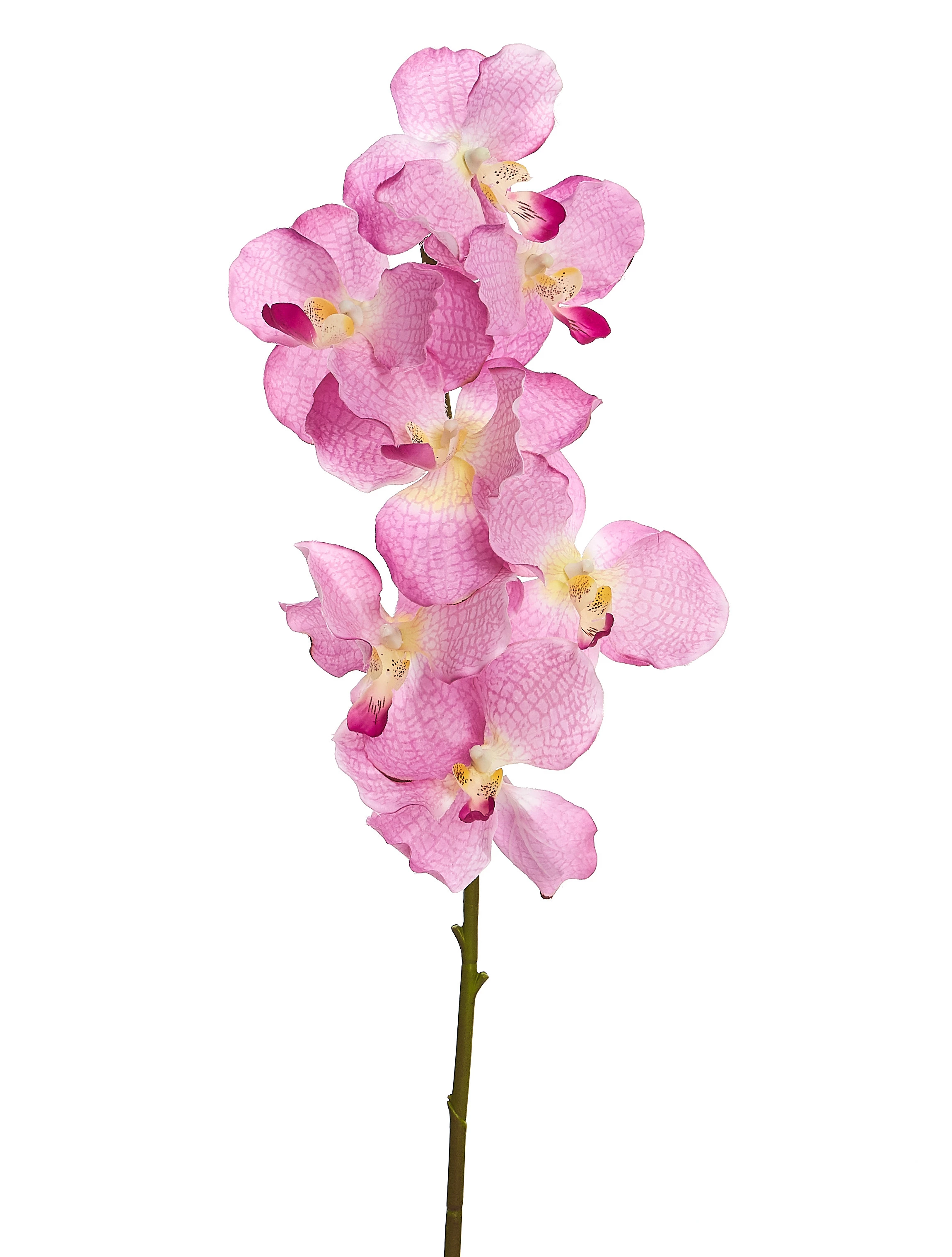 Orquídea Artificial x7 Cabeças 100 Cm - Pink