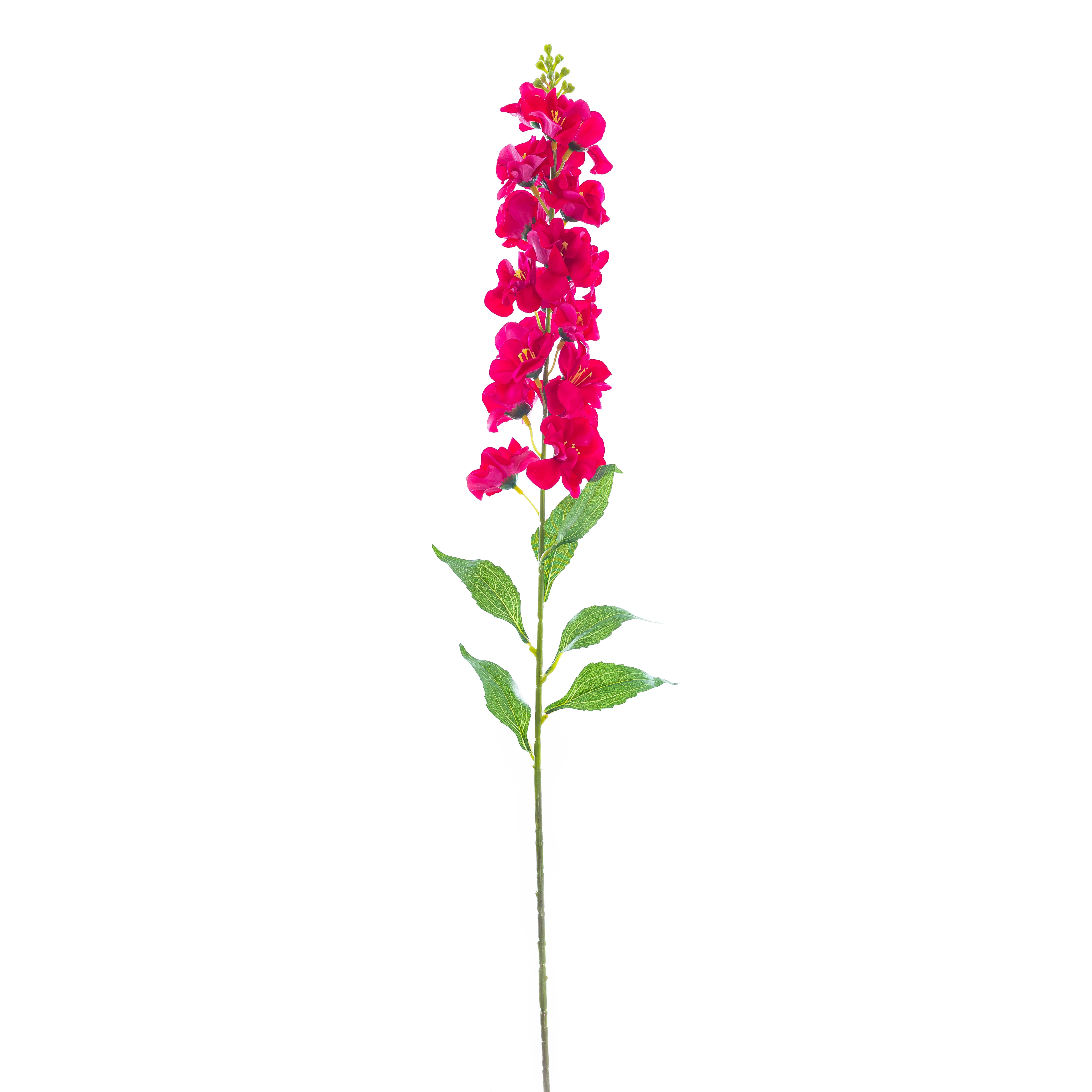 Haste Delfino 82 Cm - Pink