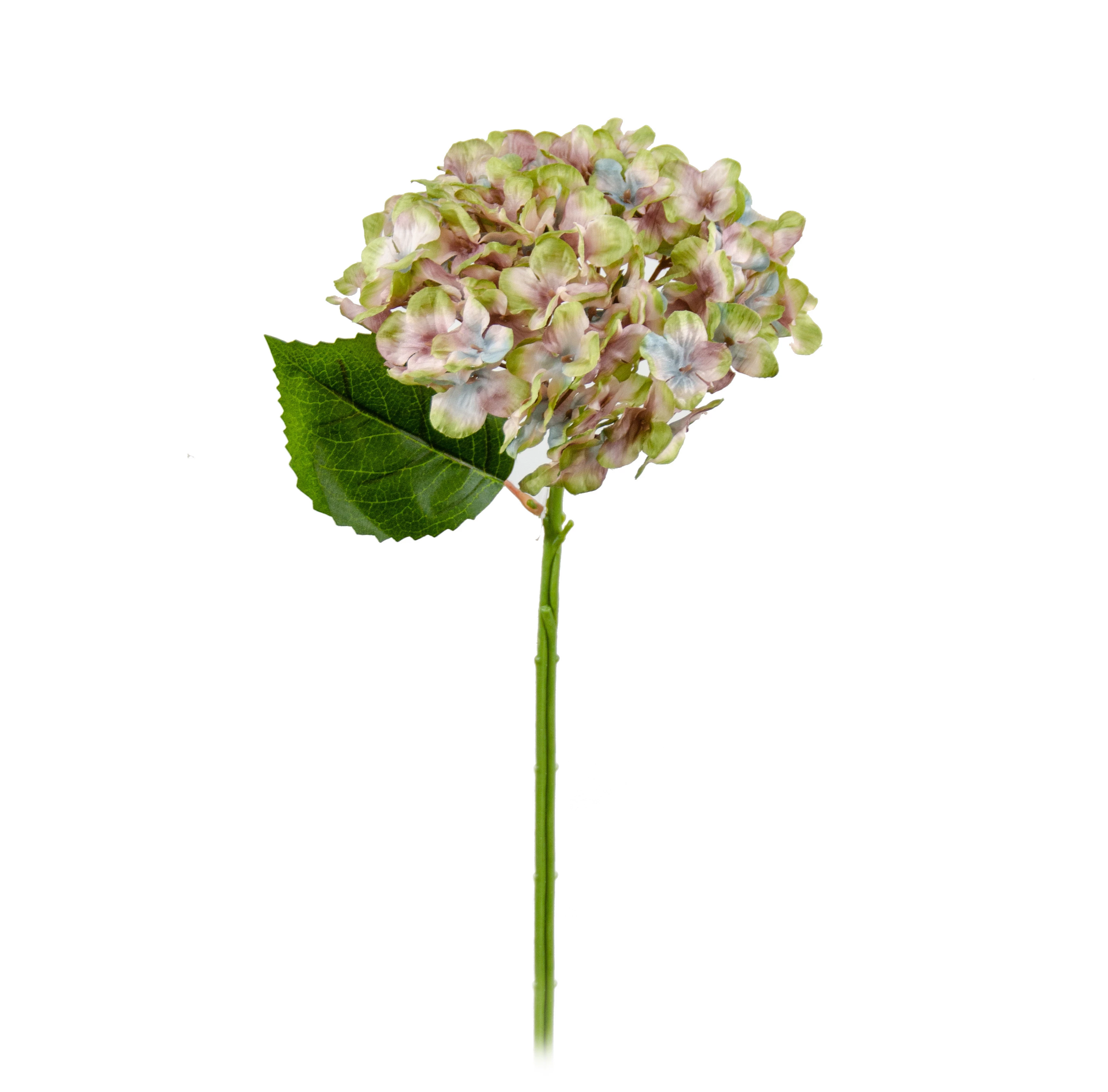 Haste Hortencia 36 Cm - Verde