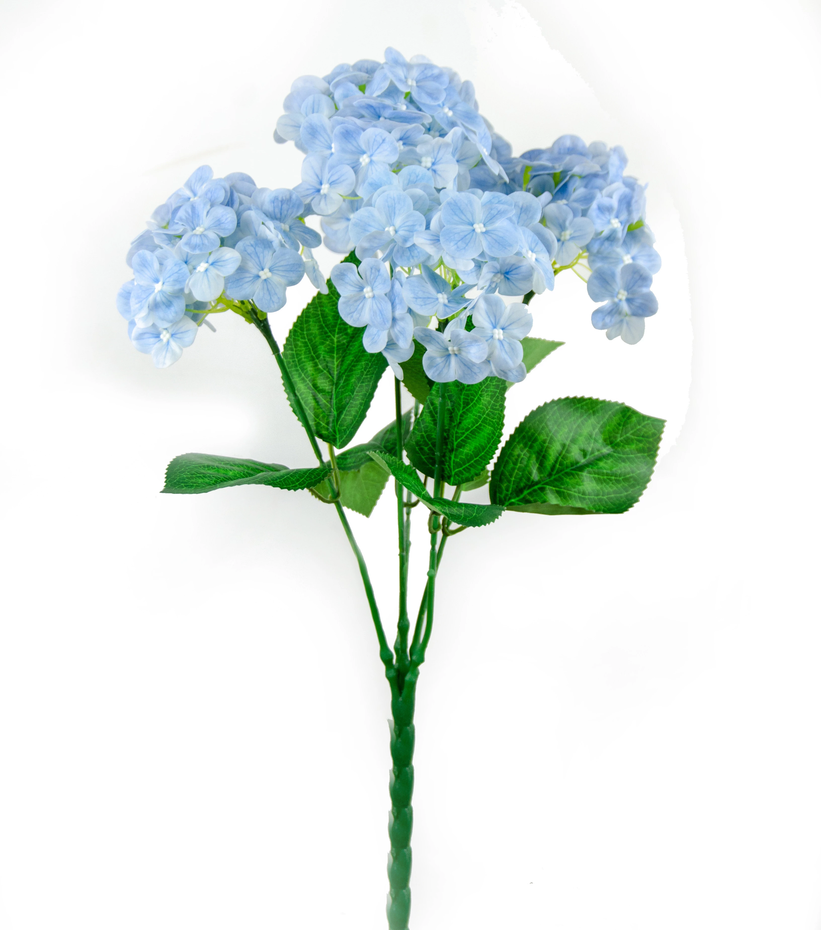Buque Hotencia x5 48 Cm Toque Real - Azul