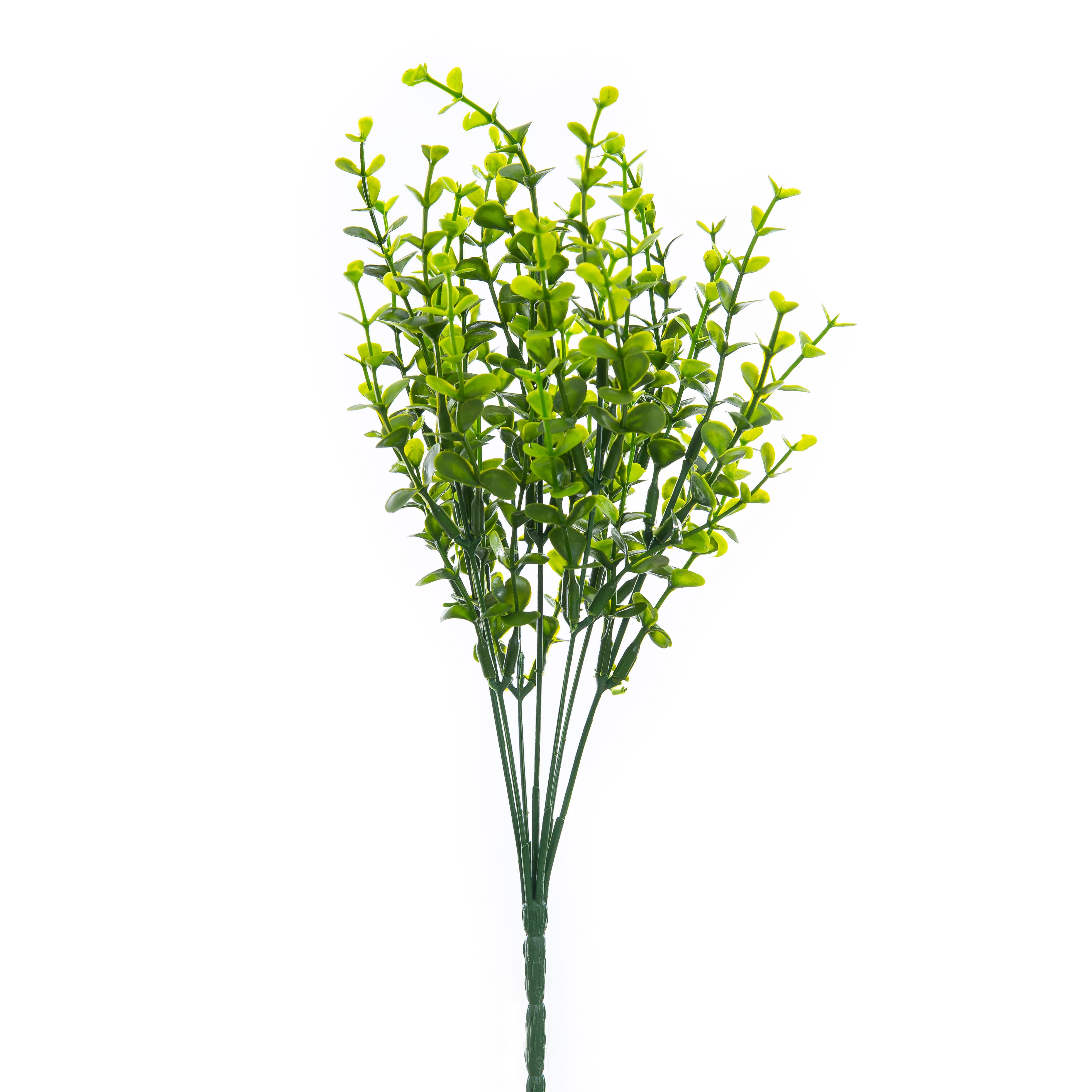 Buque Dinheirinho Penca x7 34 Cm