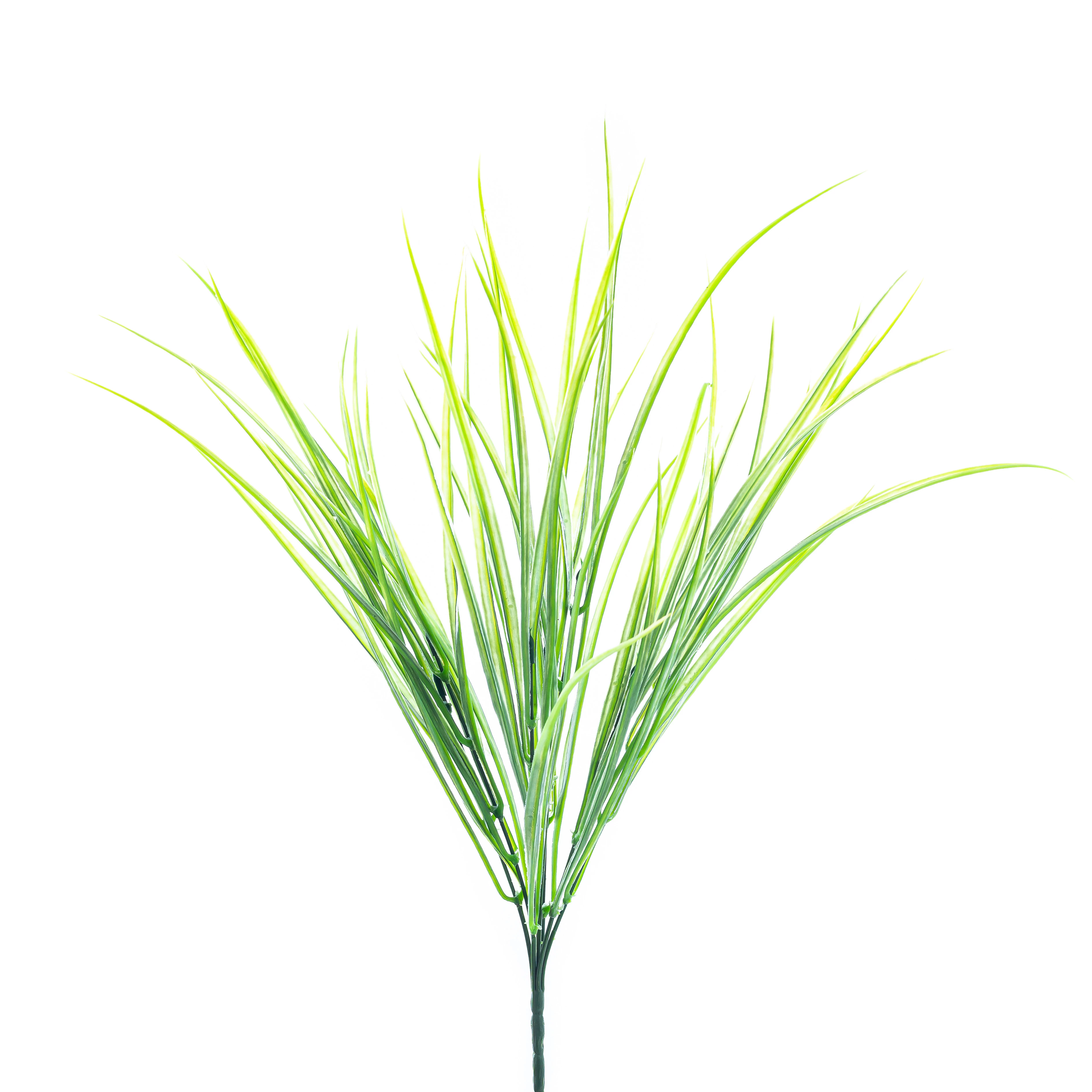 Buque Capim x7 com 34 Cm