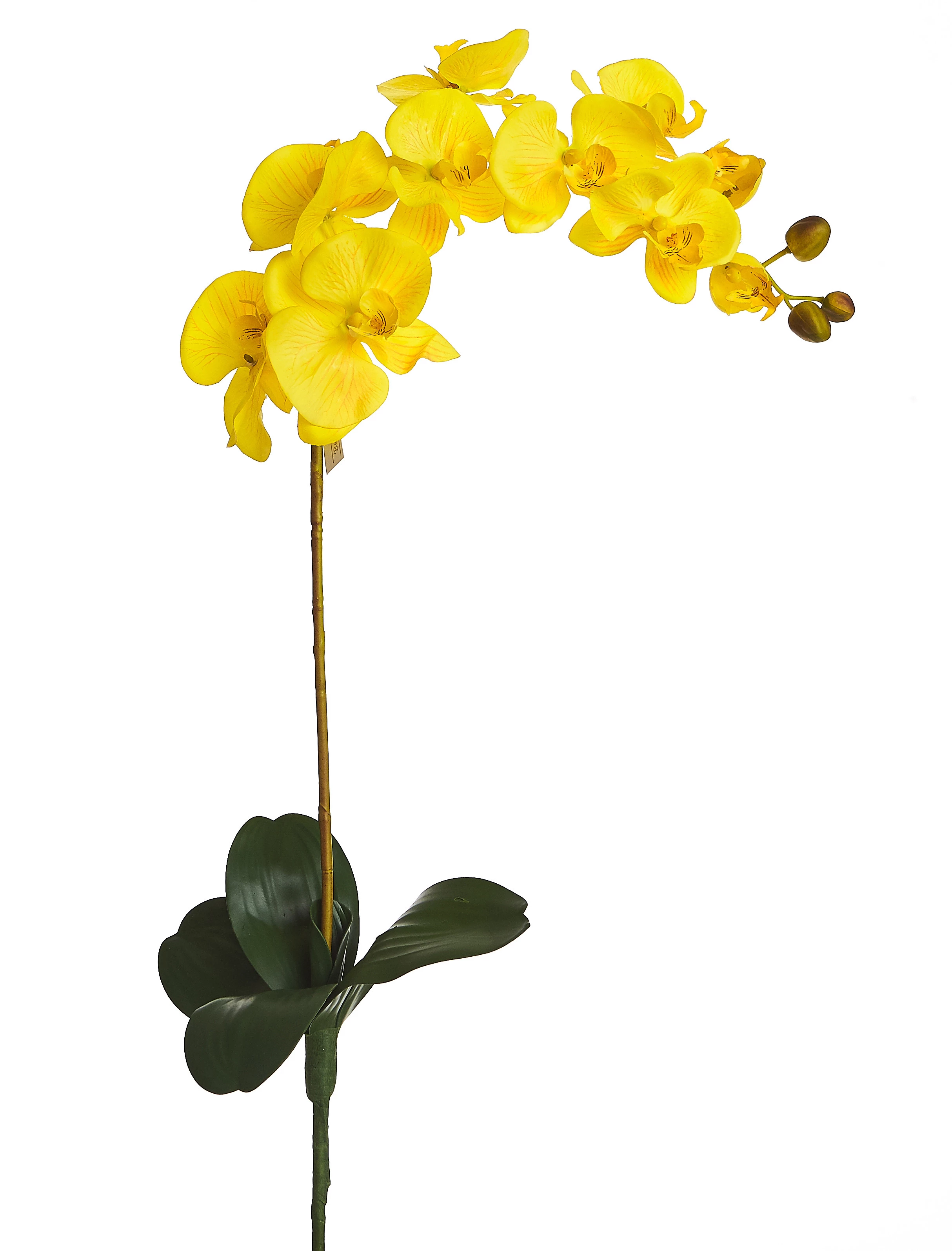 Orquídea Artificial Tecido Envelhecido x10 Com Folha e Raiz 85 Cm - Amarela