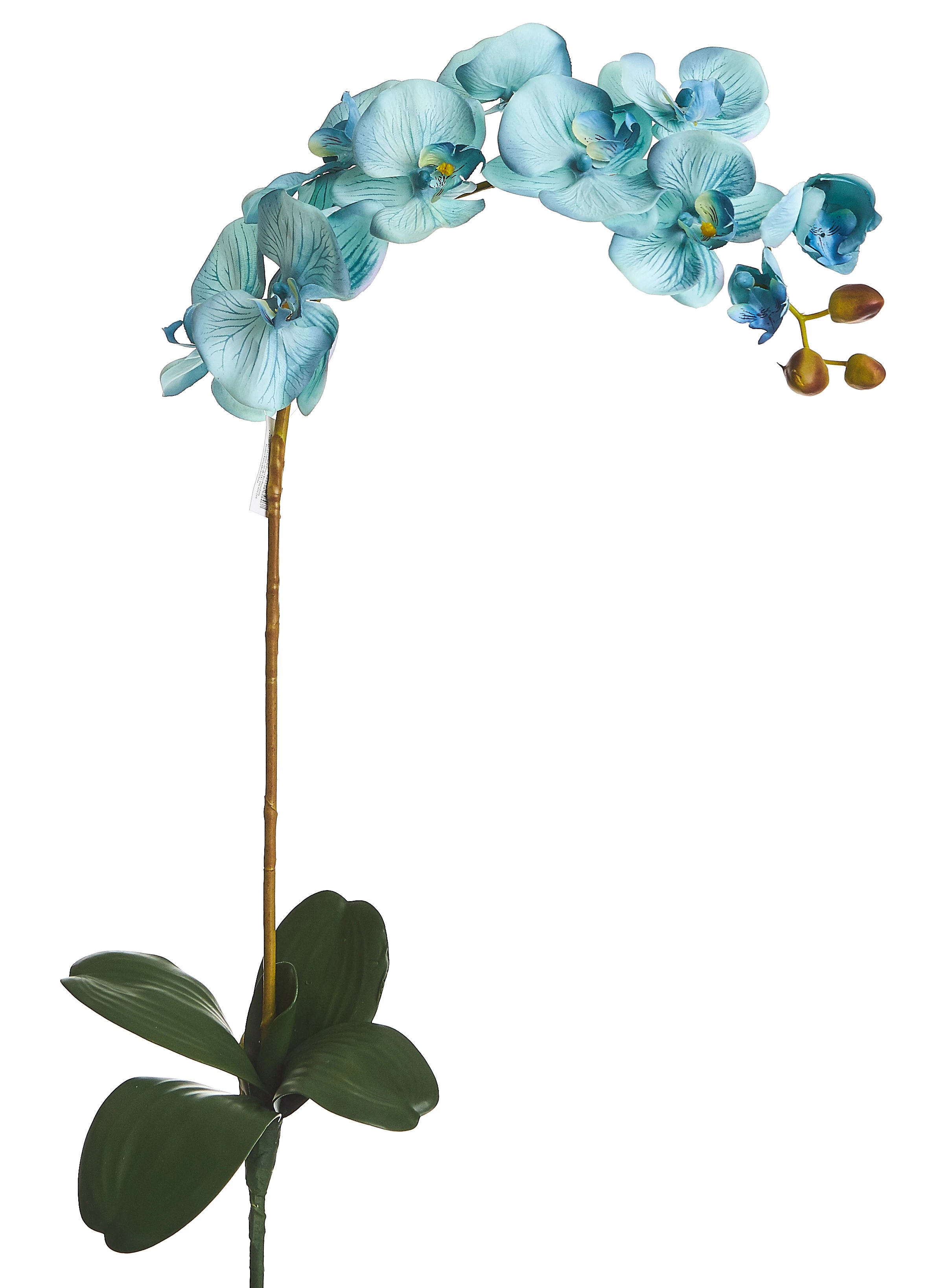 Orquídea Artificial Tecido Envelhecido x10 Com Folha e Raiz 85 Cm - Azul