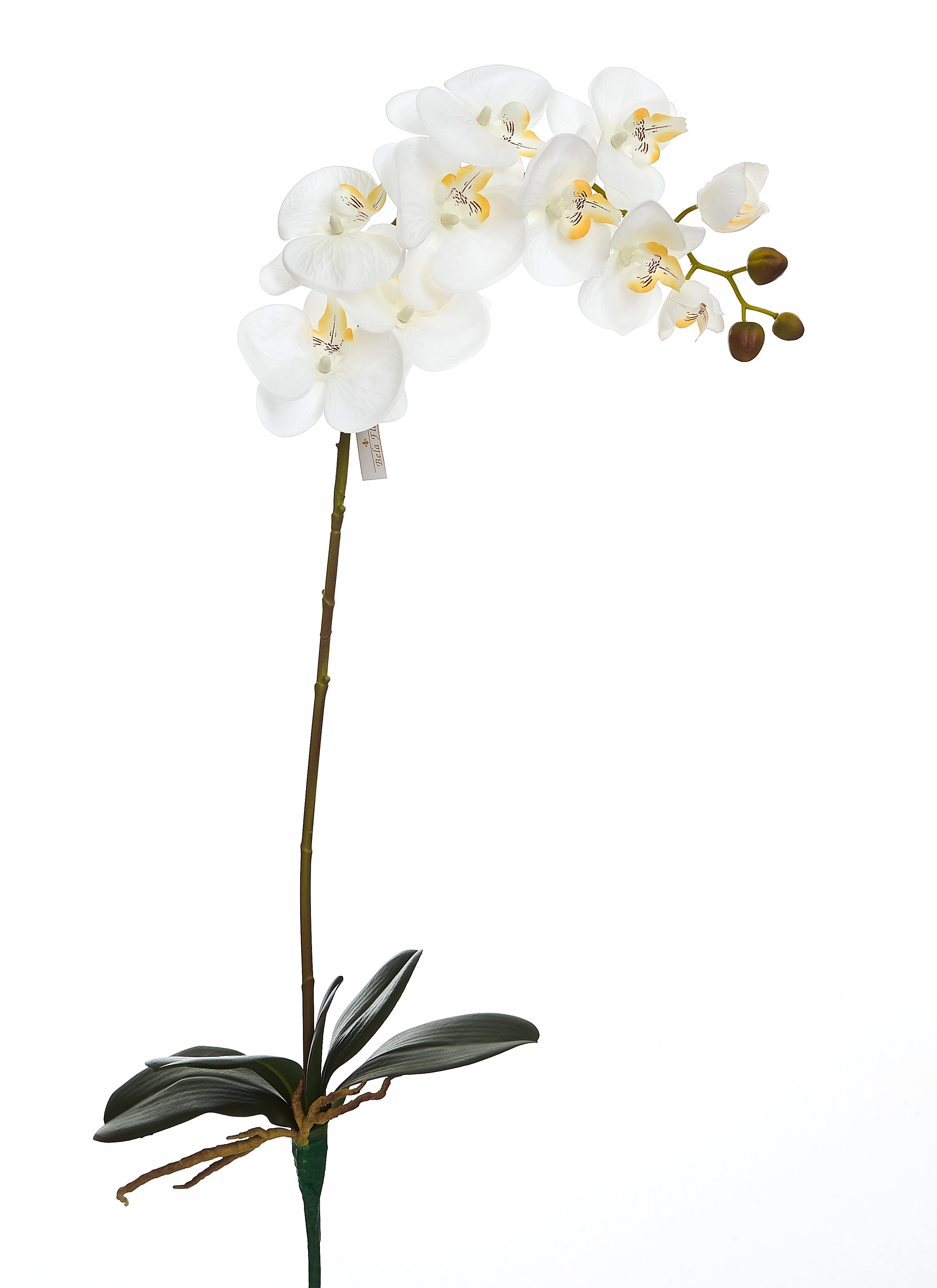 Orquídea Artificial Tecido Envelhecido x10 Com Folha e Raiz 85 Cm - Branca