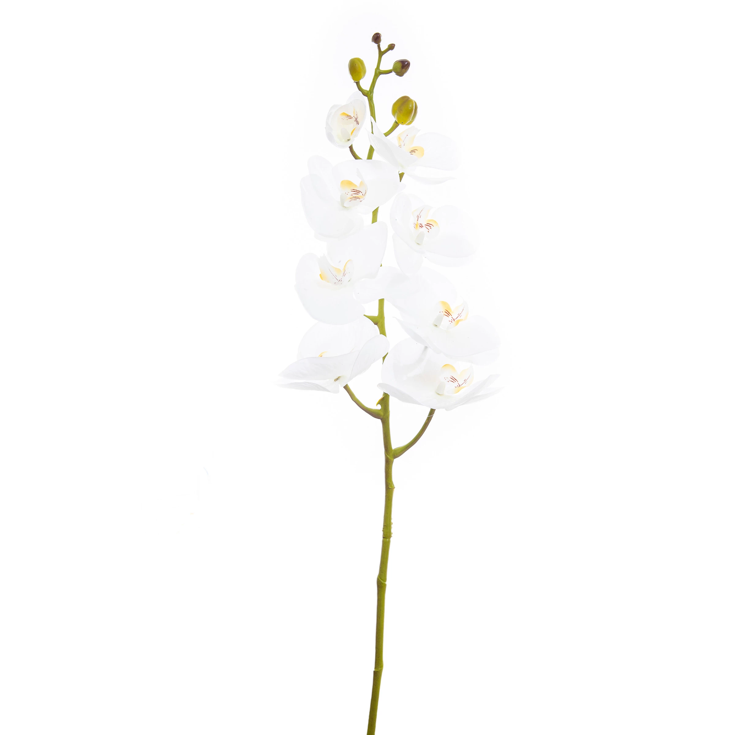 Orquídea Artificial Toque Real x8 Cabeças 100 Cm - Branca