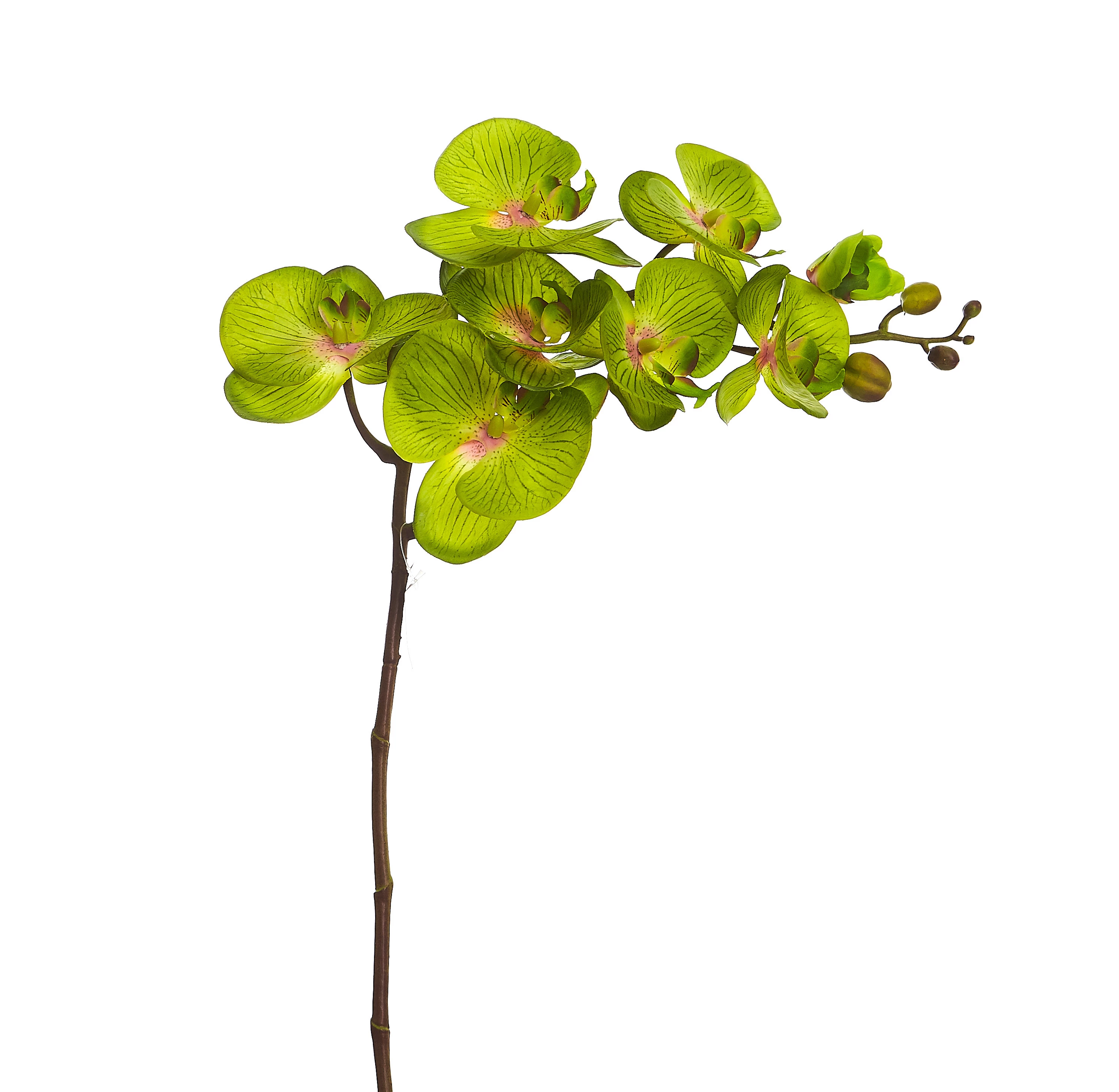 Orquídea Artificial Toque Real x8 Cabeças 100 Cm - Verde