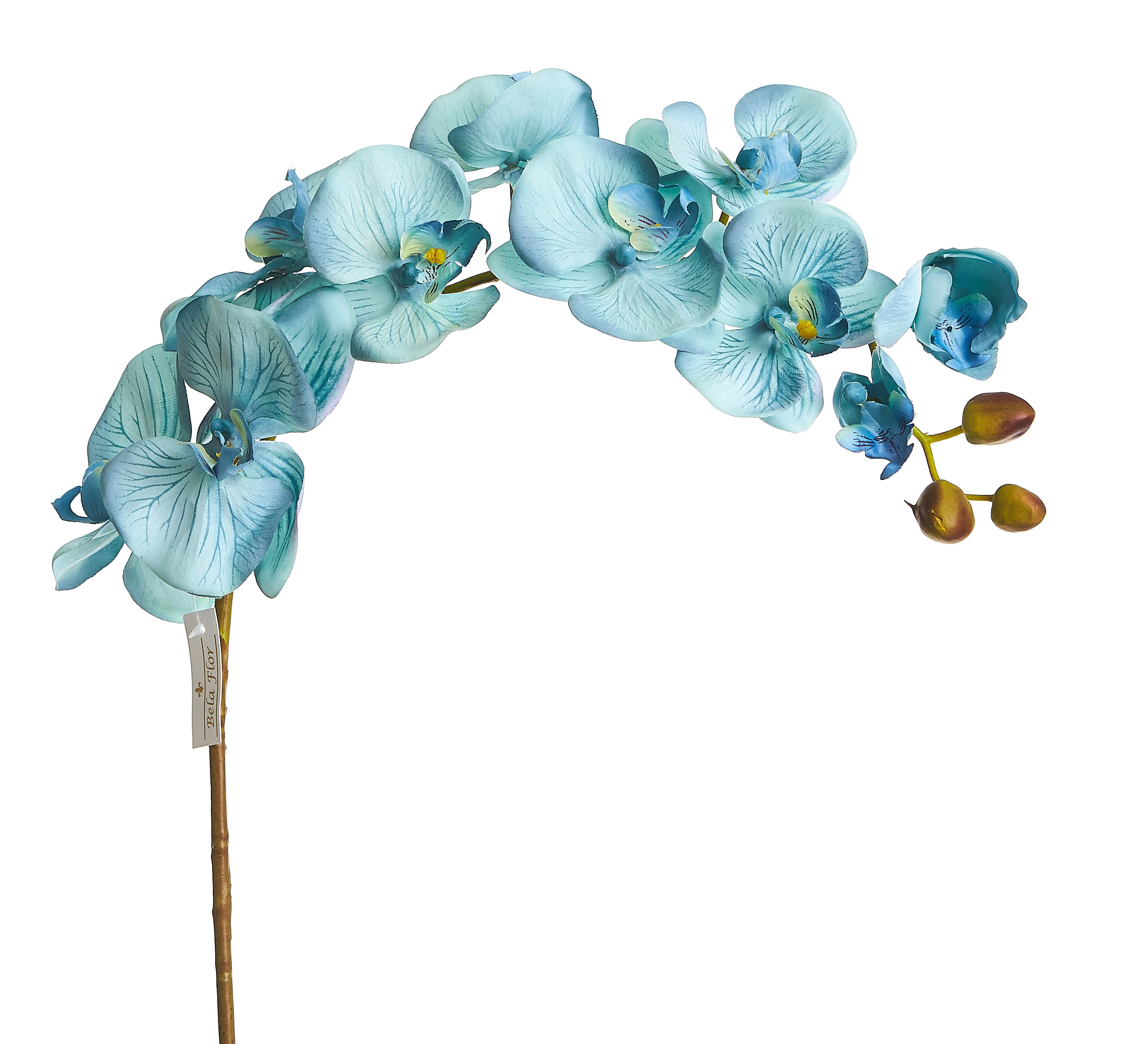Orquídea Artificial Toque Real x10 Cabeças 98 Cm - Azul