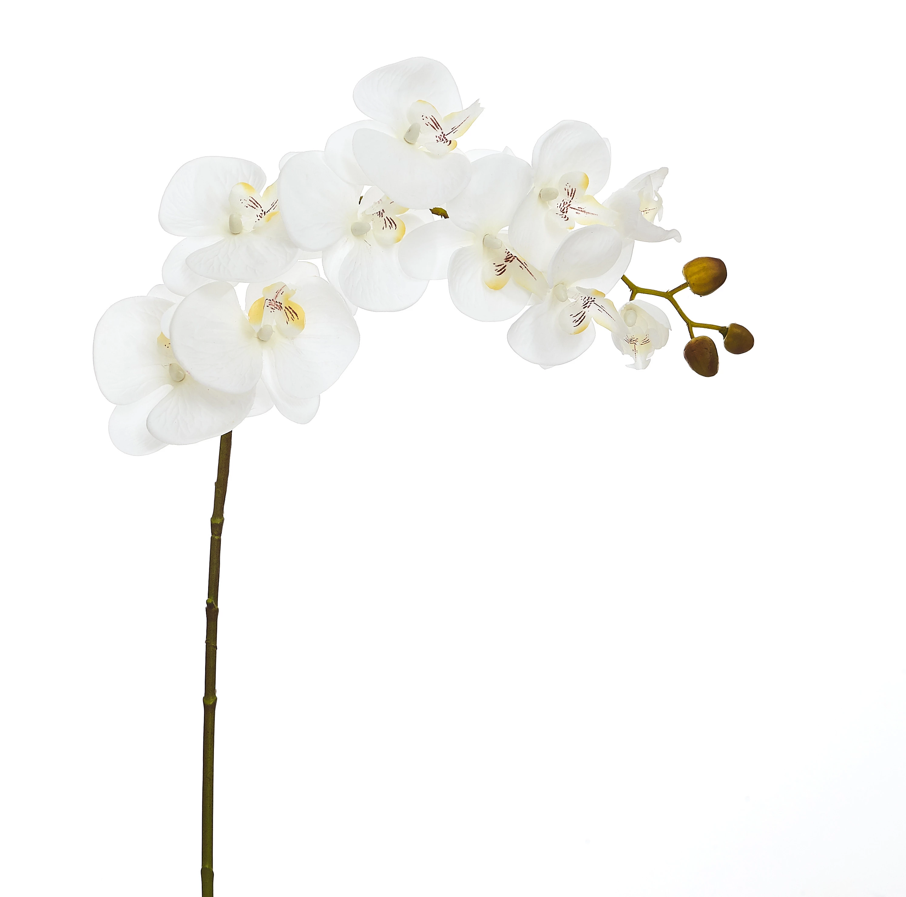 Orquídea Artificial Toque Real x10 Cabeças 98 Cm - Branca