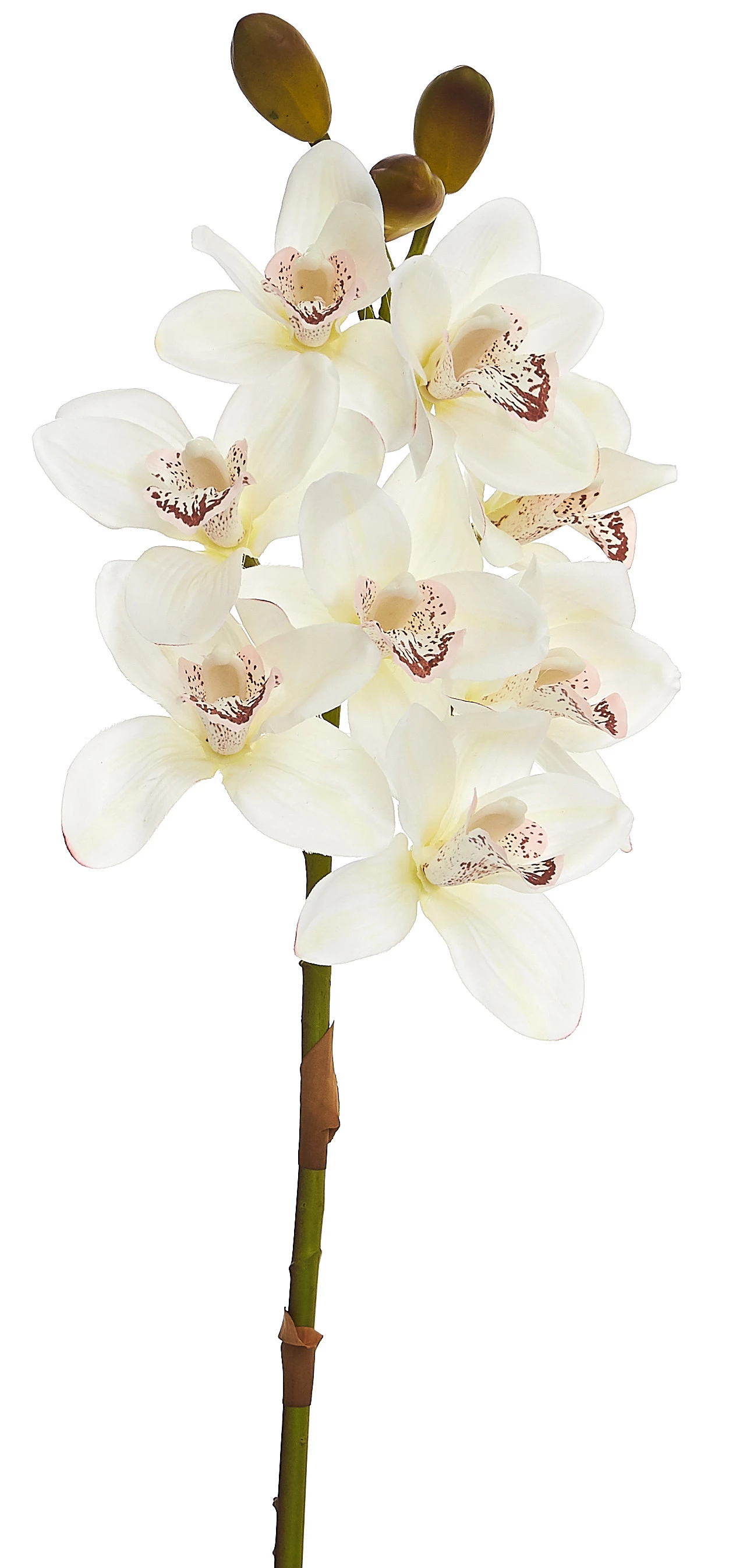 Orquídea Artificial Toque Real Cimbidium x8 Cabeças 74 Cm - Branca