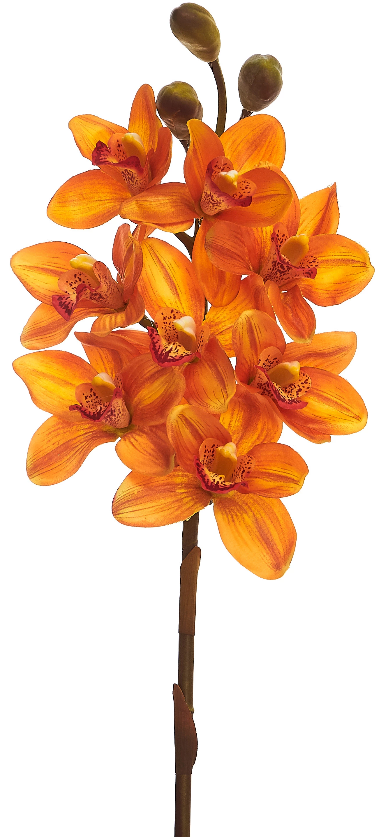 Orquídea Artificial Toque Real Cimbidium x8 Cabeças 74 Cm - Laranja