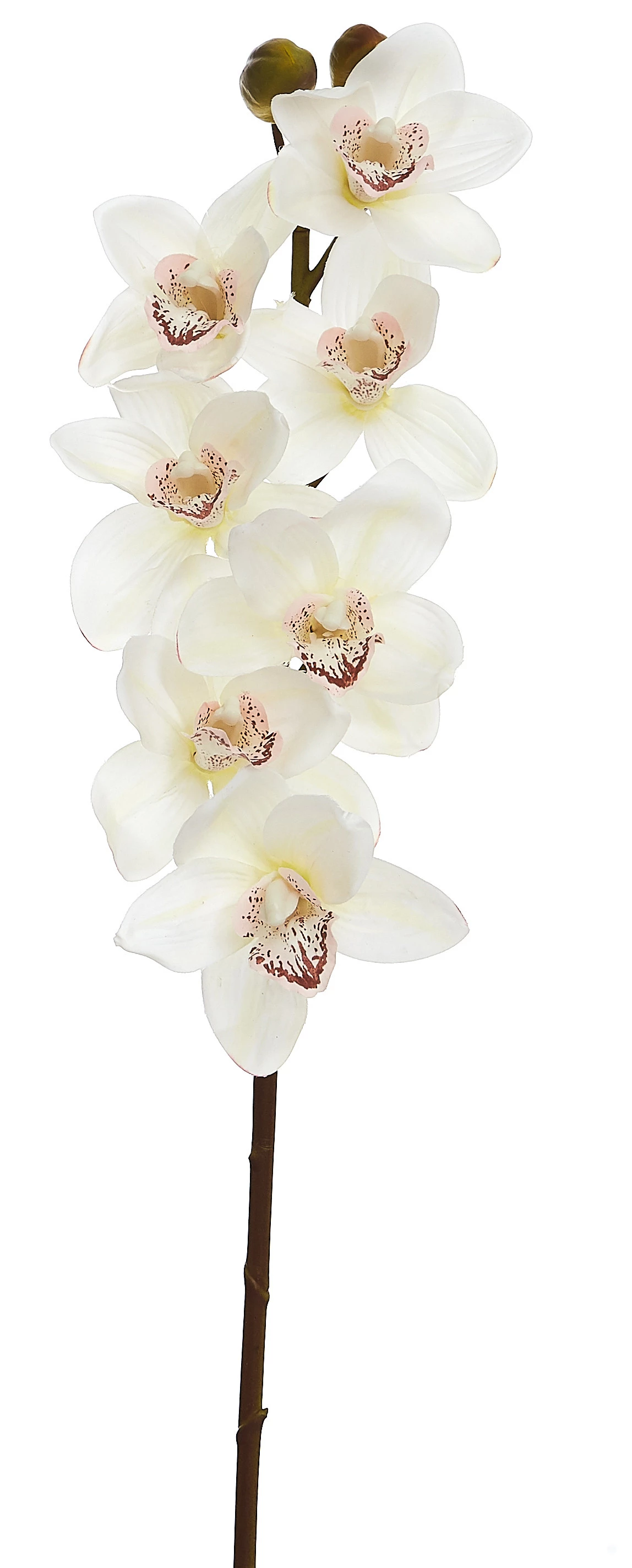 Orquídea Artificial Toque Real Cimbidium  x9 Cabeças 84 Cm - Branca