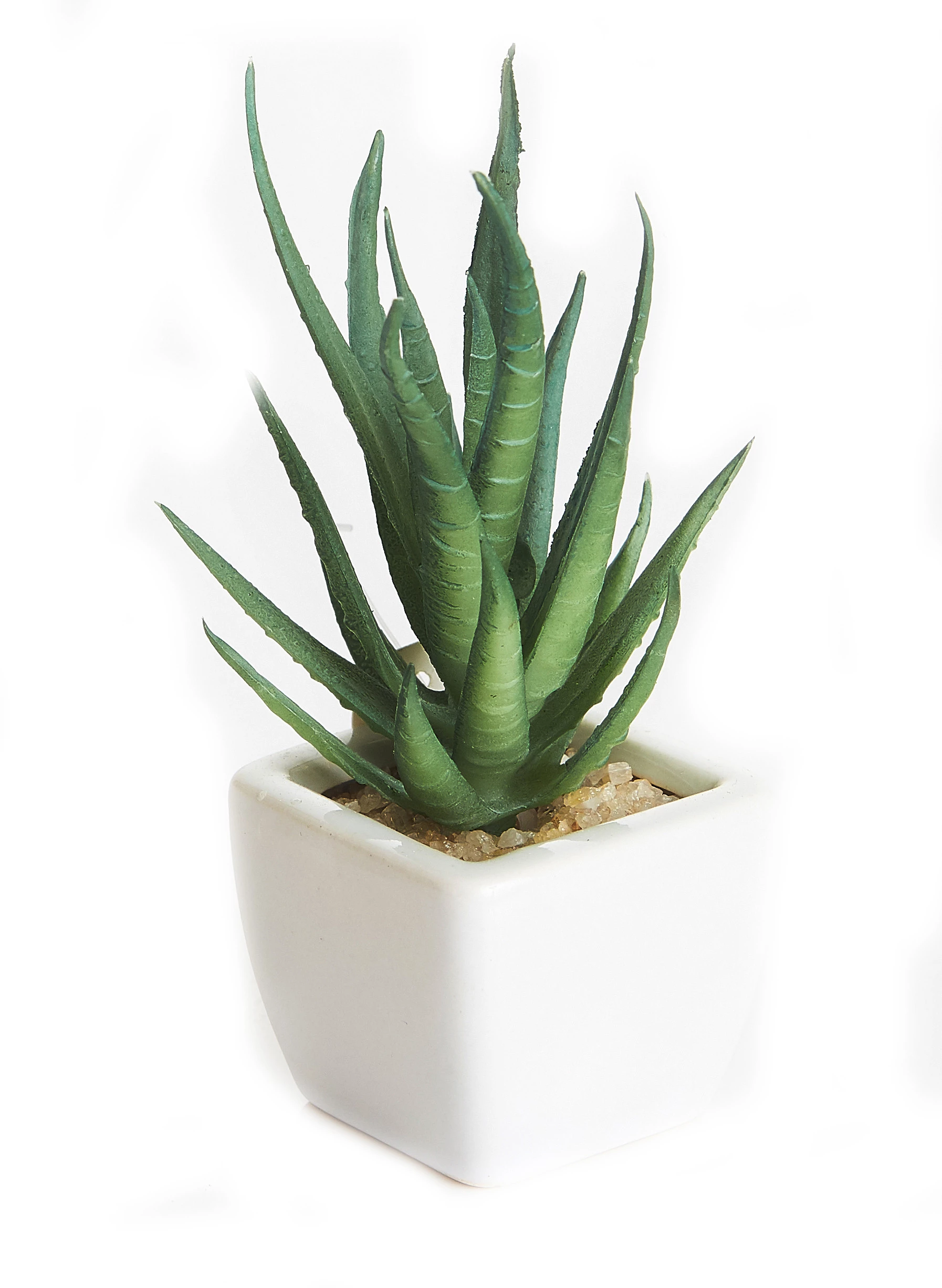 Cacto Vaso Louca 9 Cm - Branco