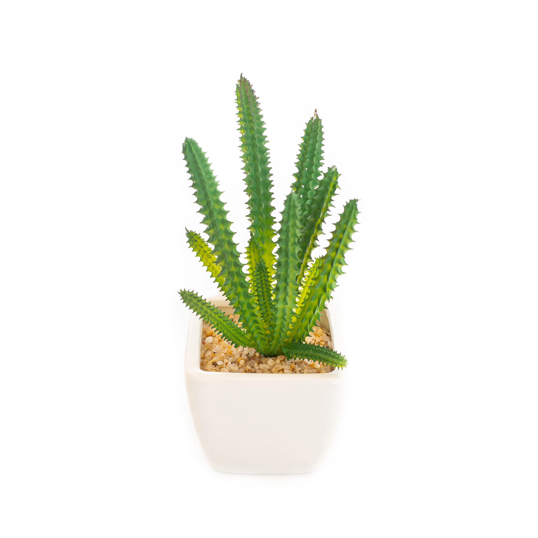 Cacto Vaso Louca 15 Cm - Branco