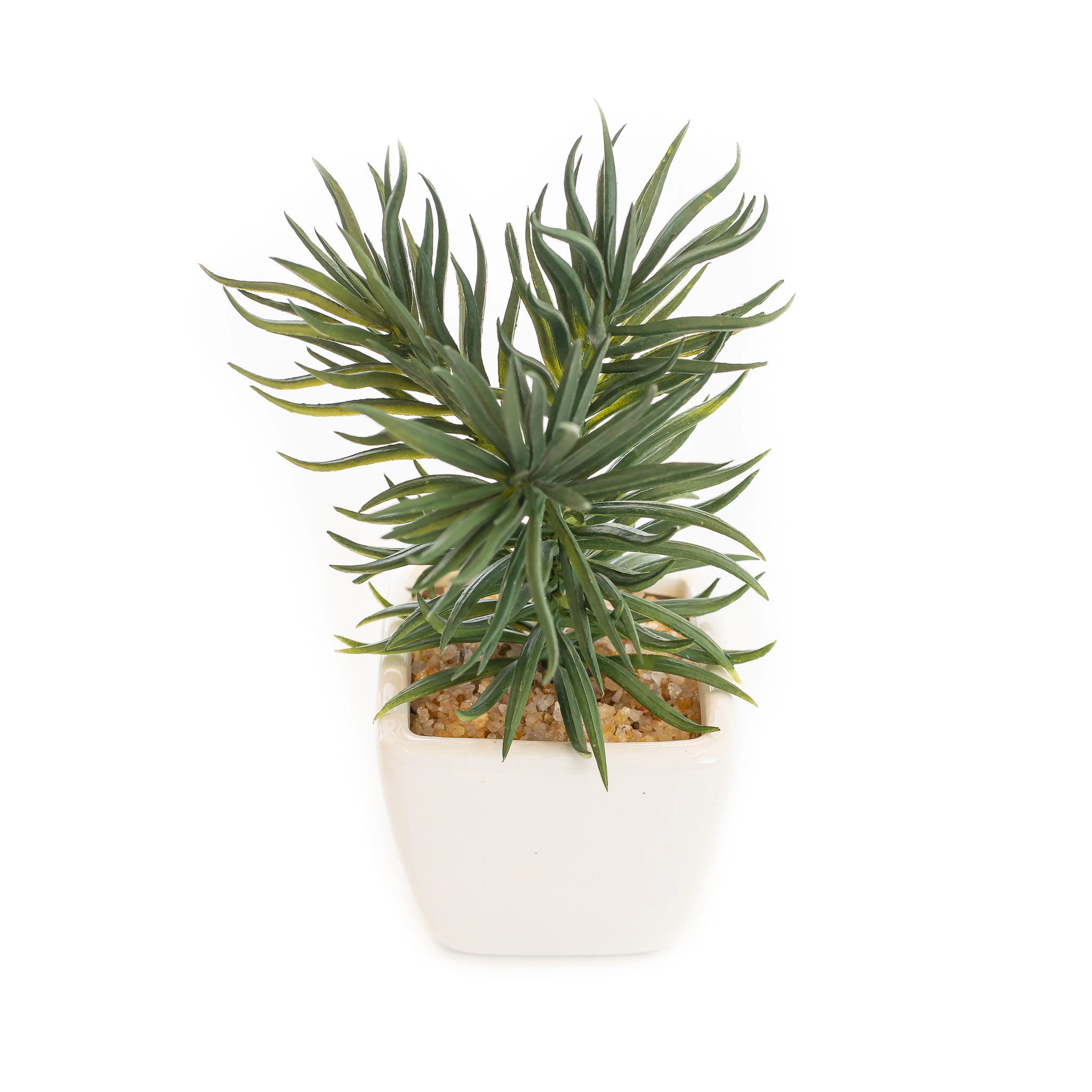 Cacto Vaso Louca 15 Cm - Branco
