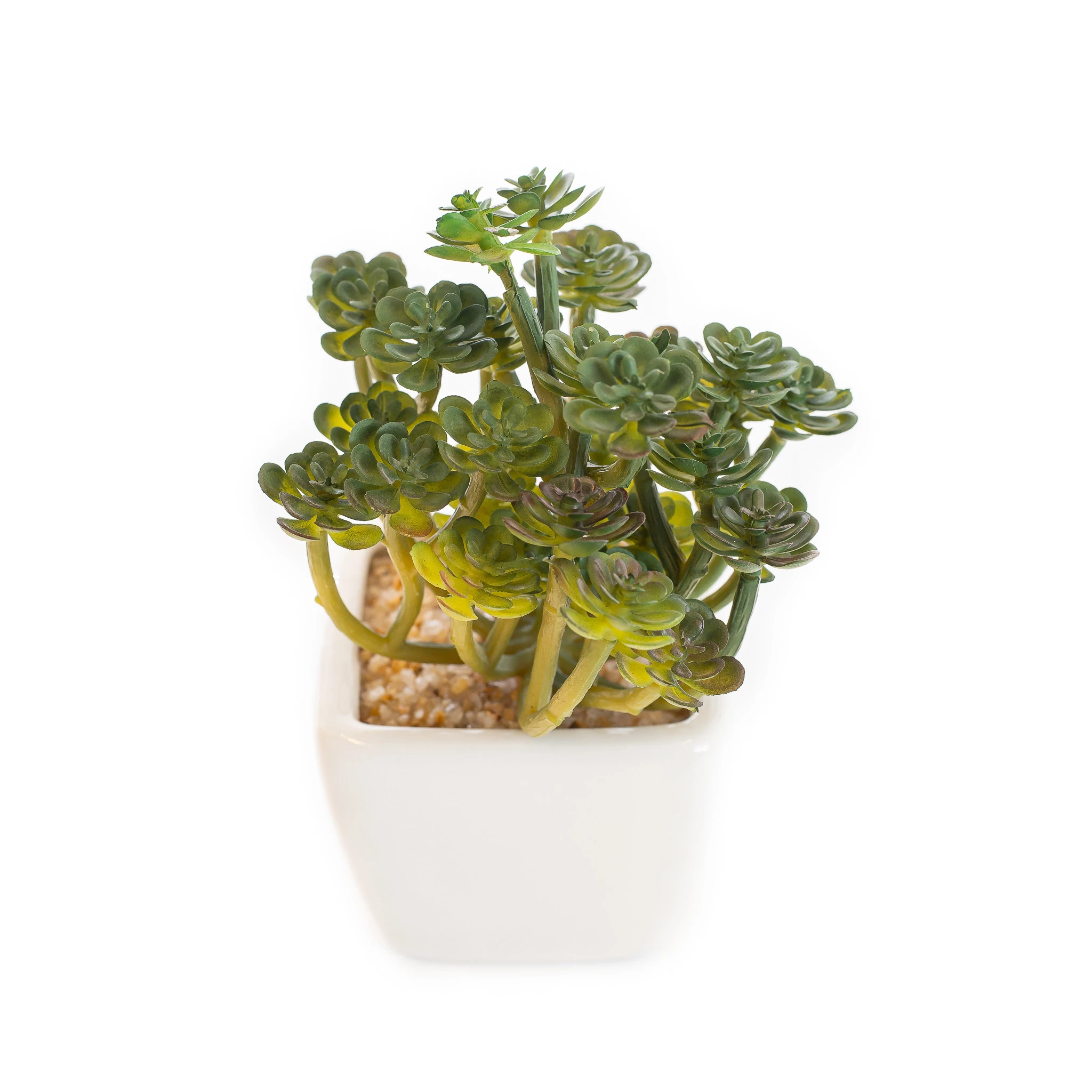 Cacto Vaso Louca 15 Cm - Branco