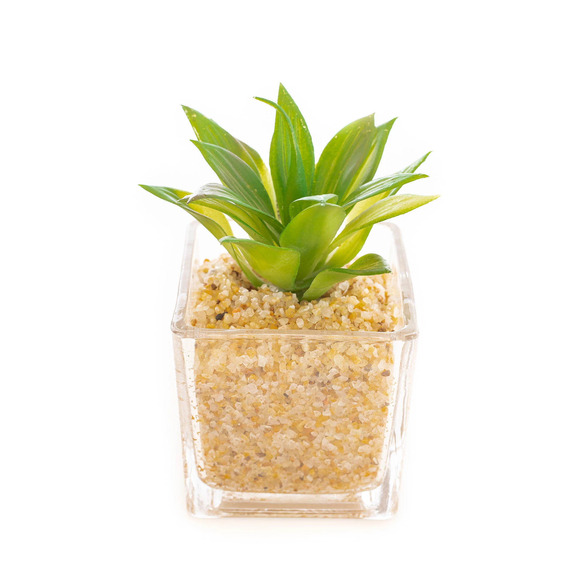 Vaso Vidro 15 Cm