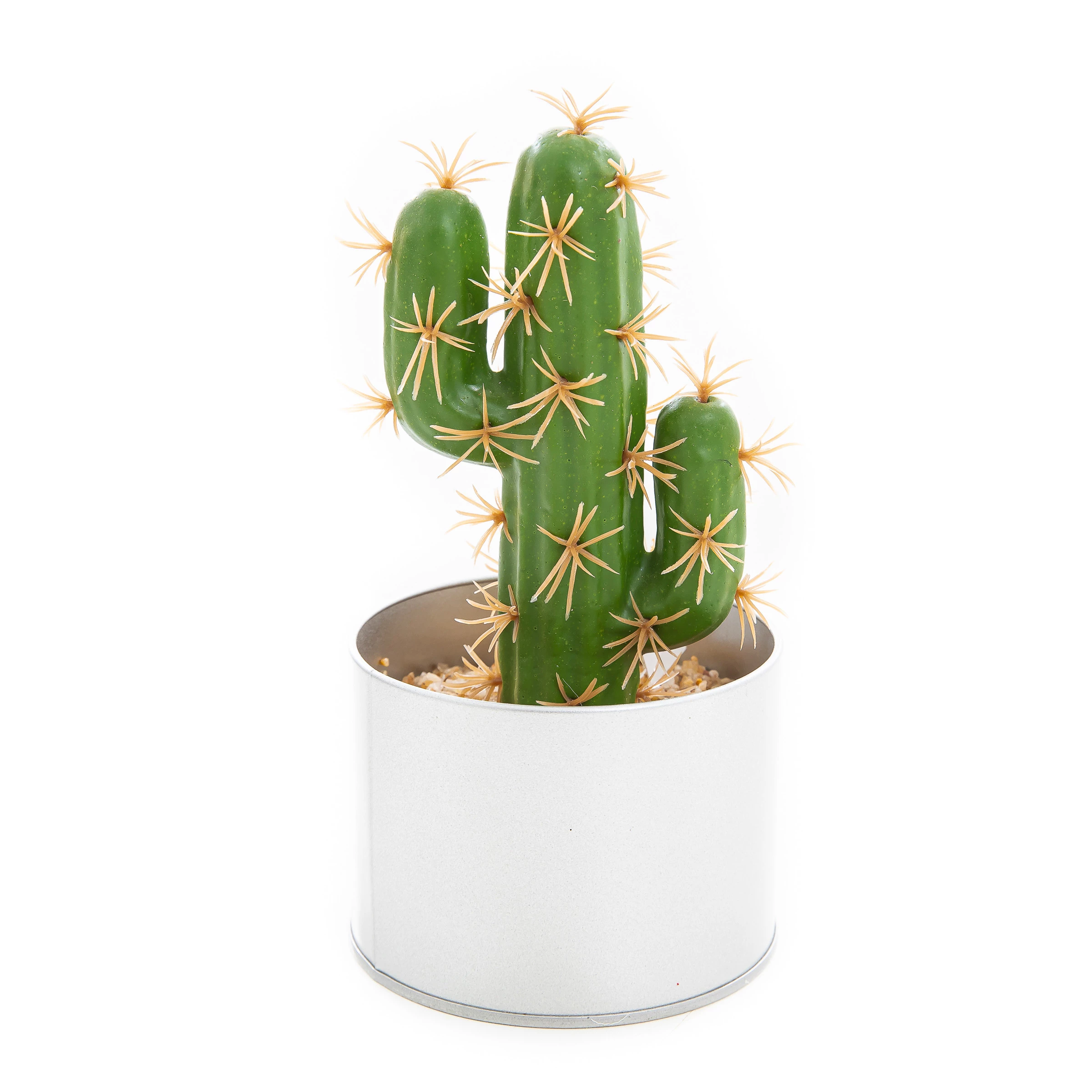 Cacto Vaso Redondo 19 Cm