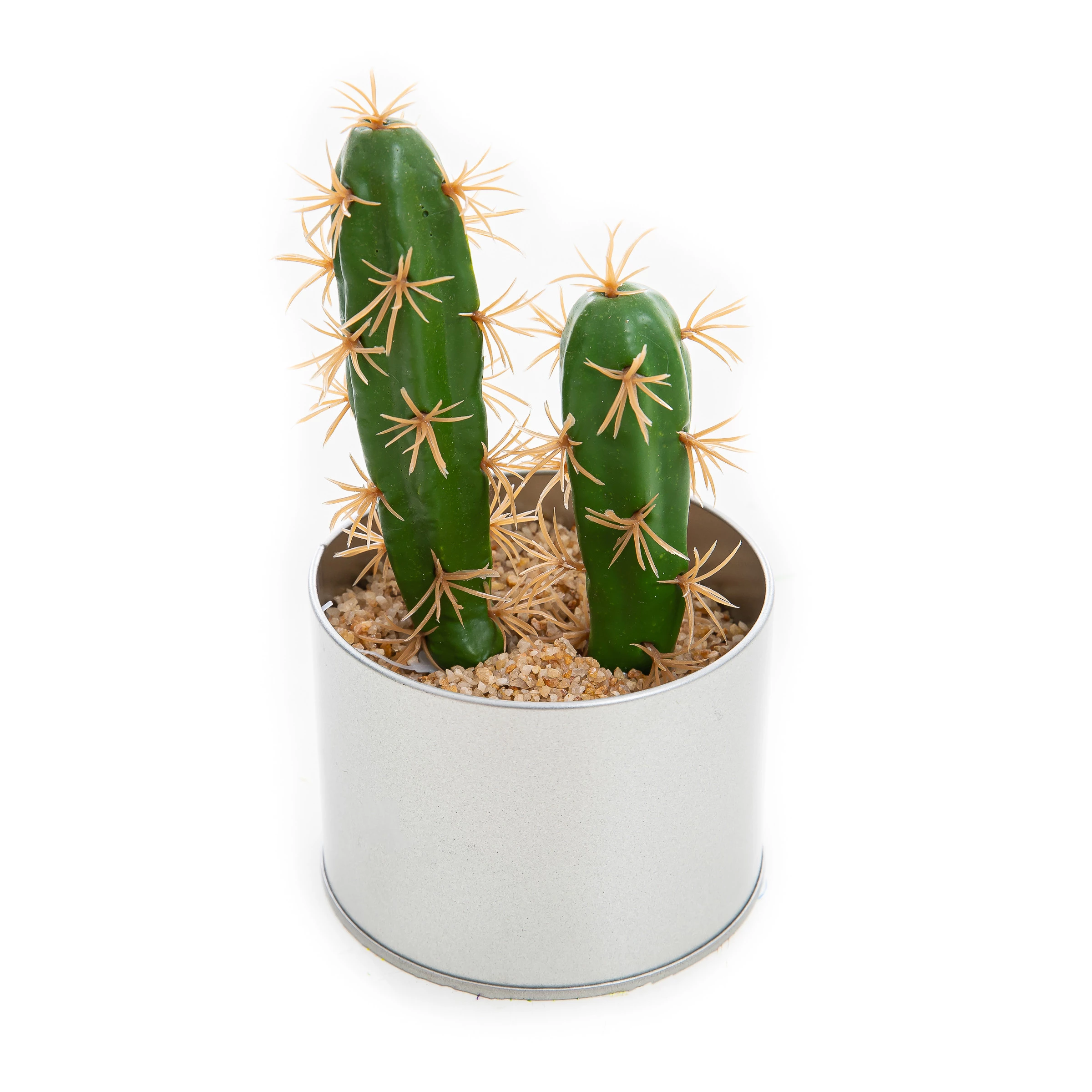 Cacto Vaso Redondo 19 Cm
