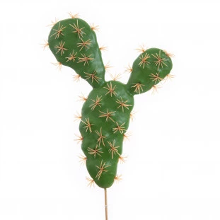 Suculenta Ditz 30 Cm