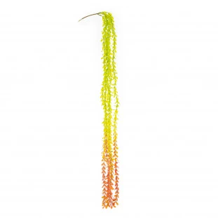 Pendente Dinheirinho x5 Com 77 Cm