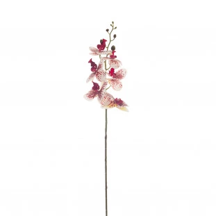 Orquídea Artificial Toque Real x6 Cabeças 86 Cm - Branca/Vinho