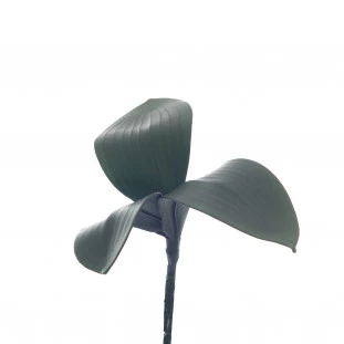 Folha de Orquídea Com 3 24x7 Cm 