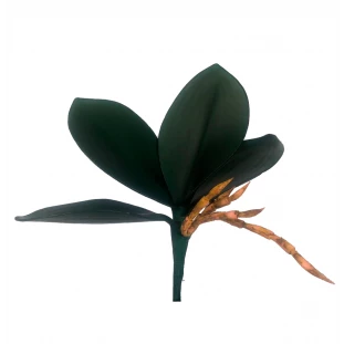 Folha de Orquídea x4 