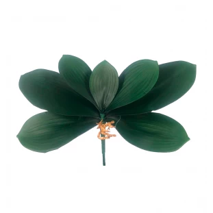 Folha de Orquídea x7