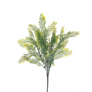 Buque Samambaia 34 Cm