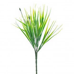Buque Capim 30 Cm 