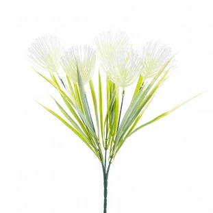 Buque Suculenta x5 com 34 Cm